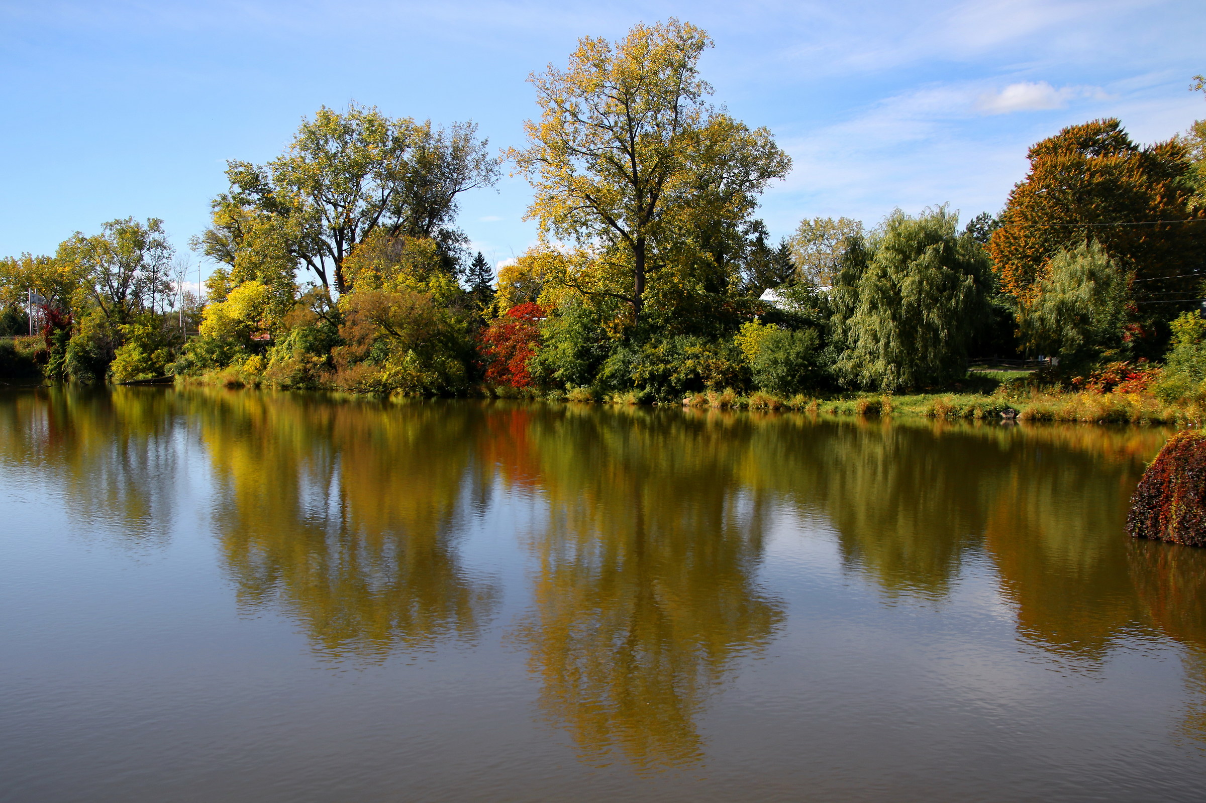 Incantesimo d'autunno, Canada
