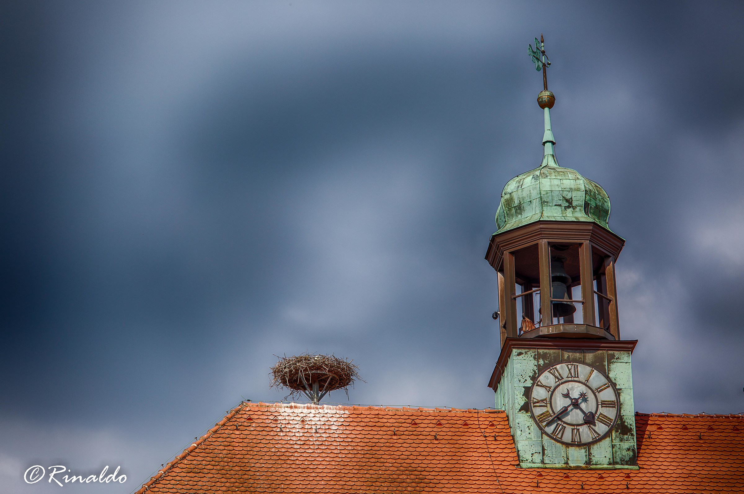 That nest near the clock