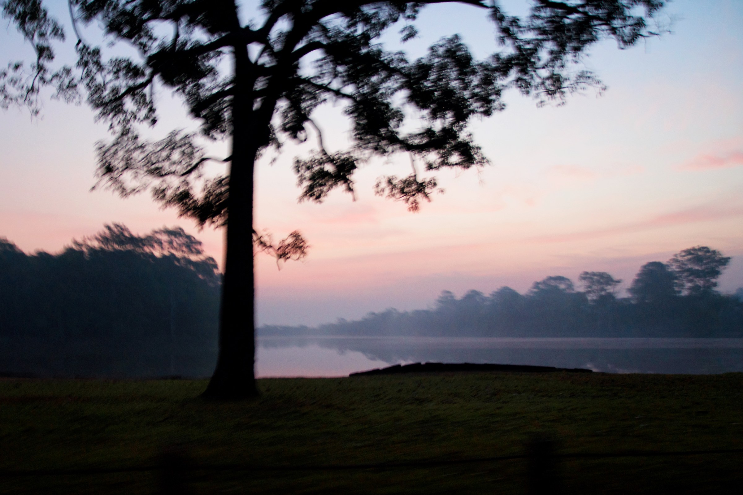 Sunrise near Angkor Wat
