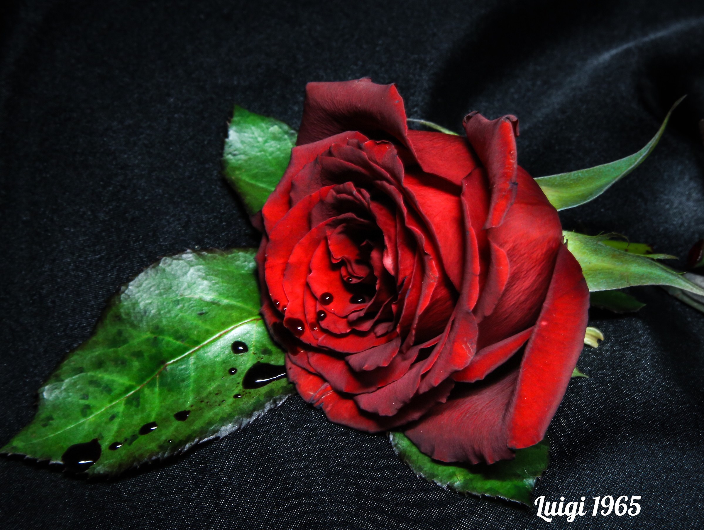 First prize at Eros and Thanatos competition.