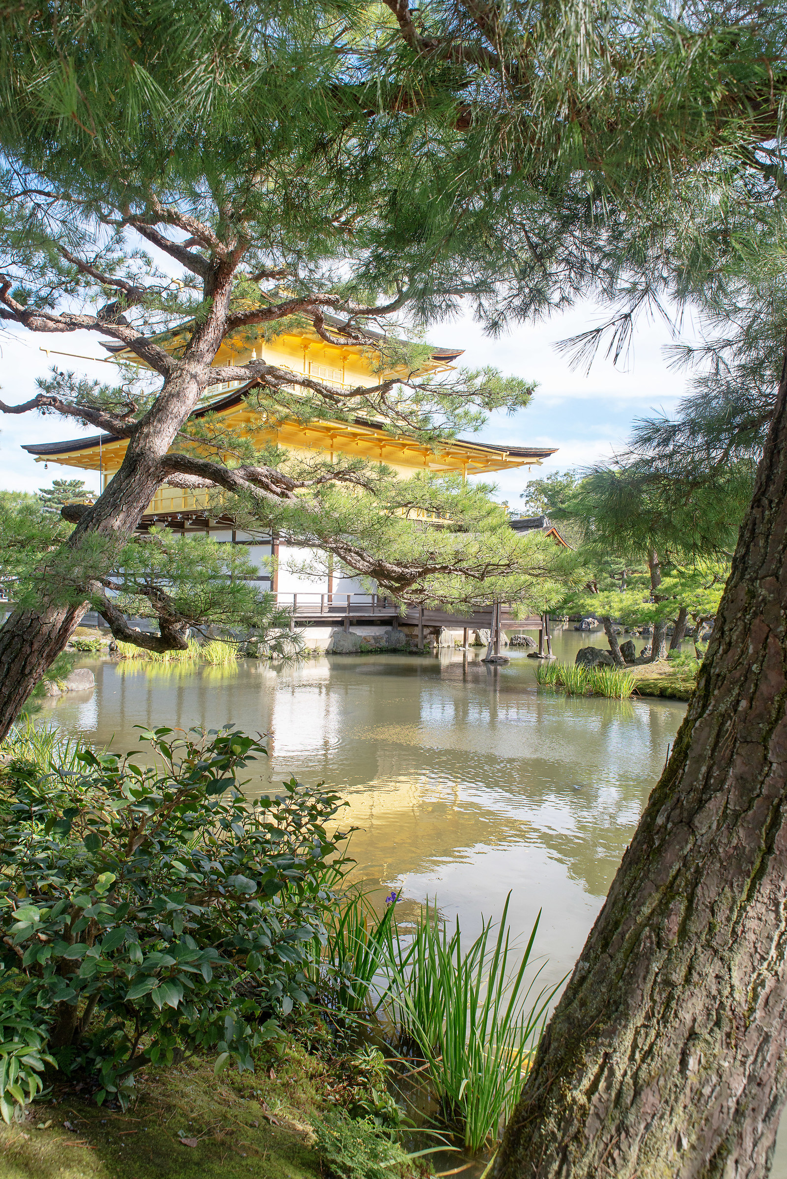 The Golden Temple. (Kinkaku-ji, Japan)