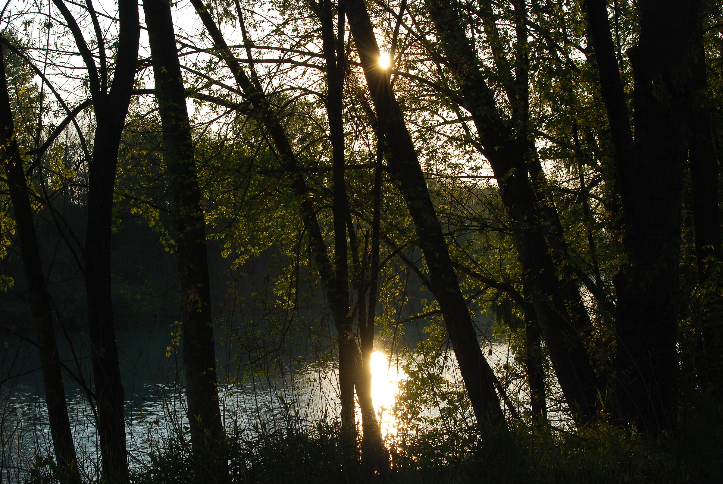 La Piave al tramonto