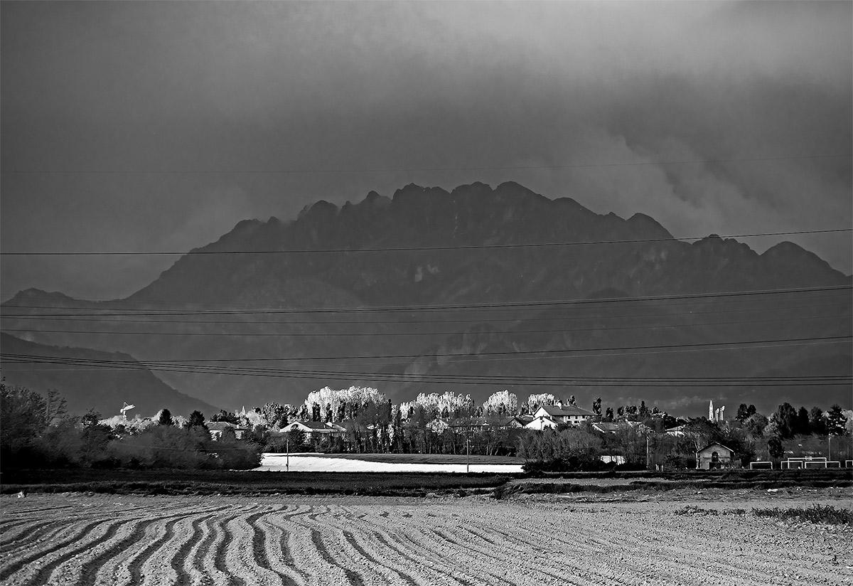 Paesaggio a righe dal Parco del Molgora