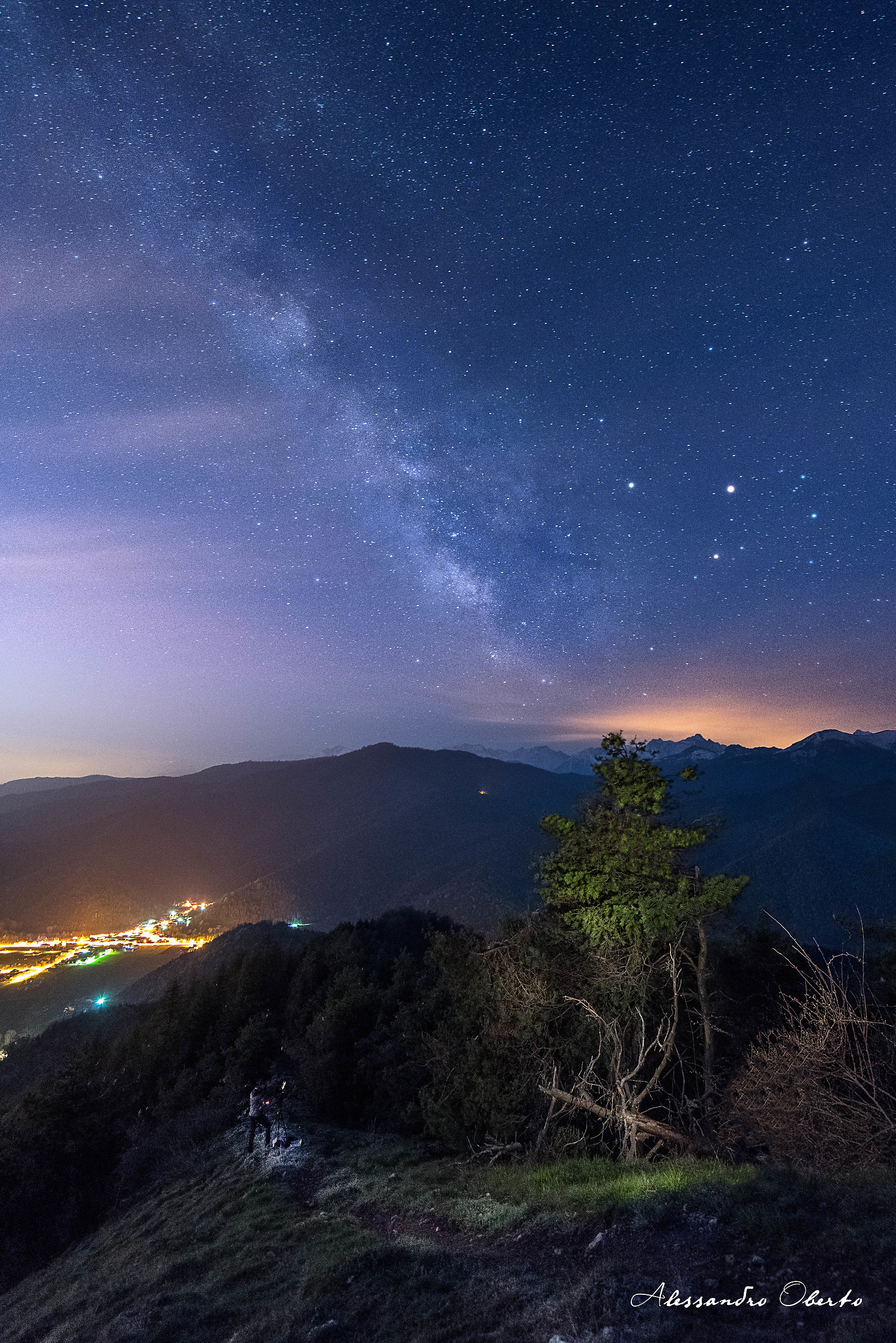 The legend of the pine and the Star Hunter.