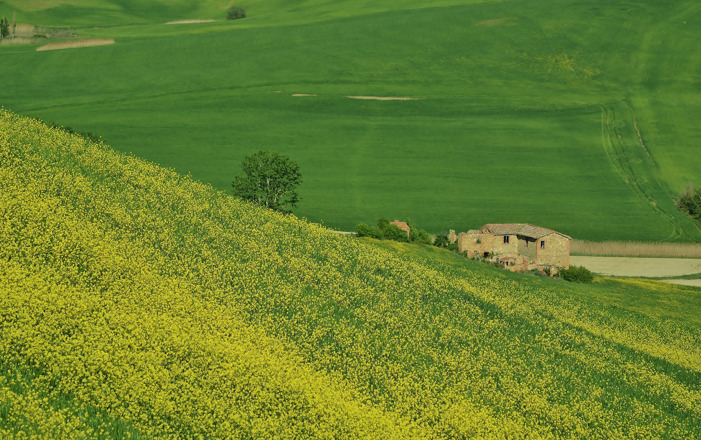The colors of the Val d'Orcia