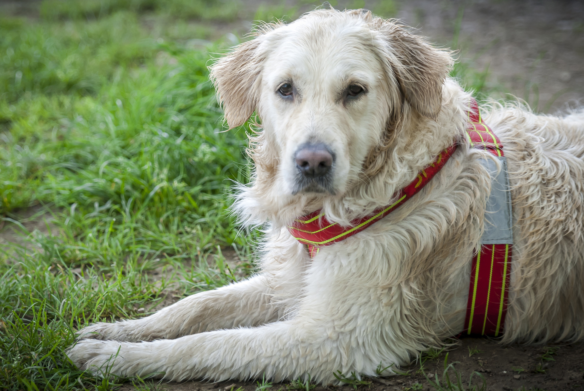 Exercises of rescue!