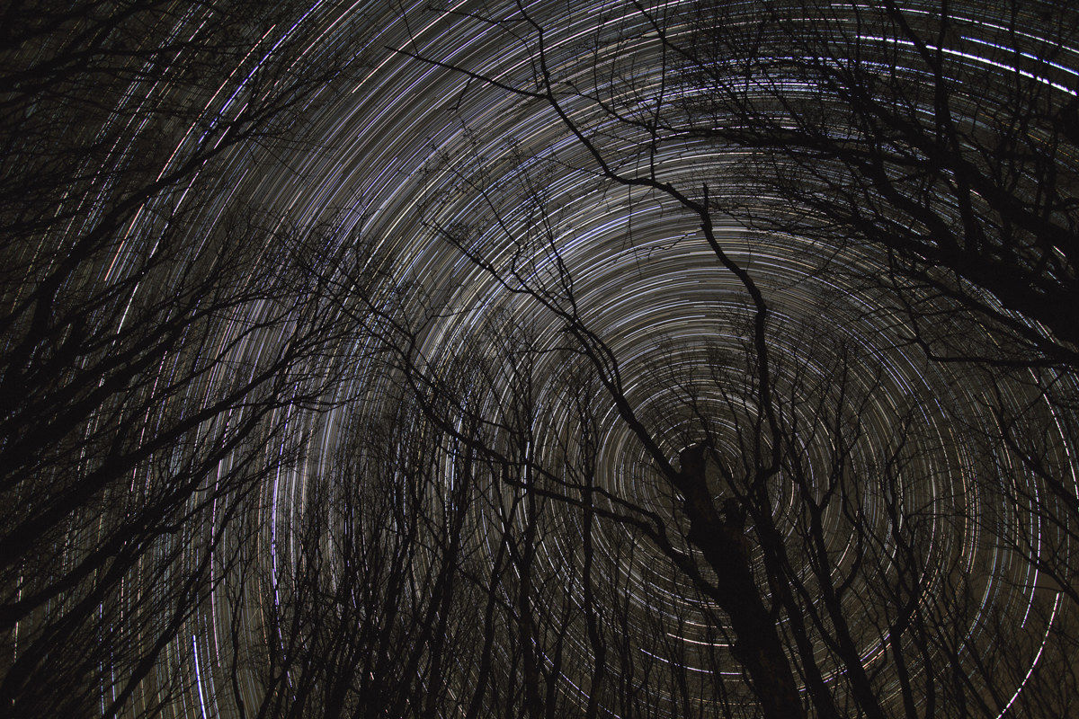 parco naturale delle foreste casentinesi