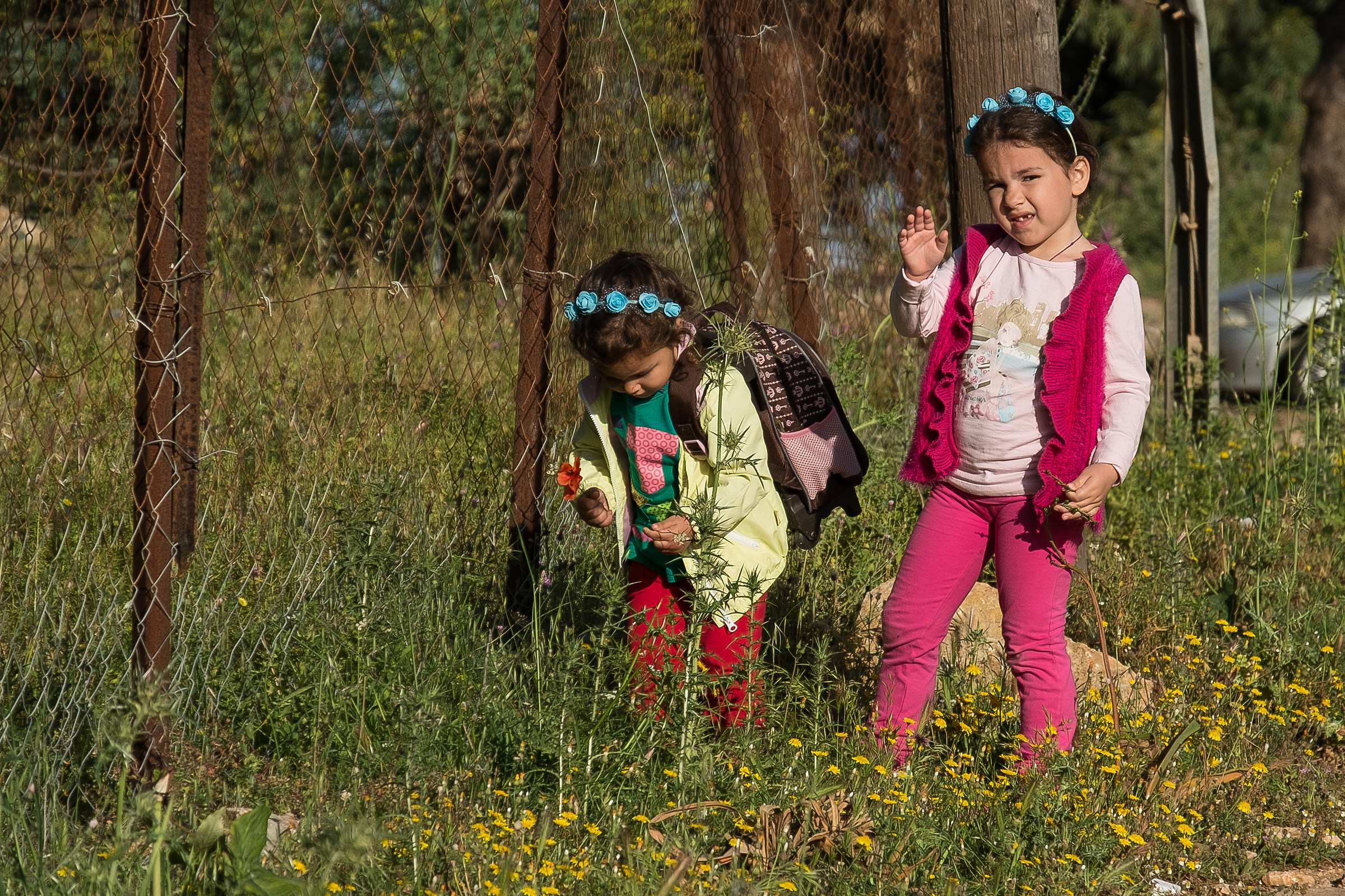 A beautiful greeting