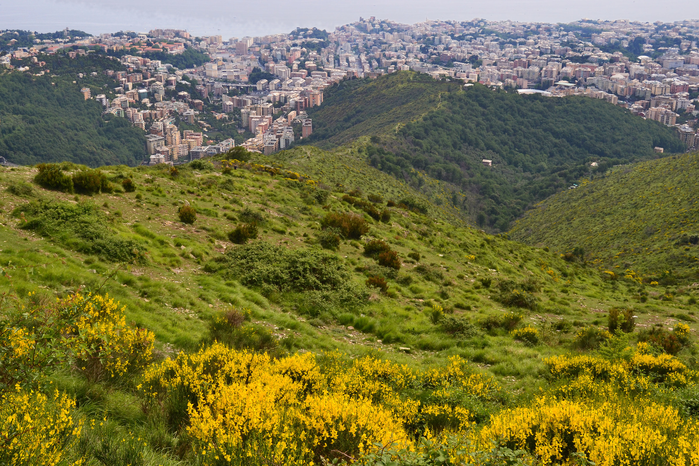 Sturla, Albaro e San Fruttuoso. Genova