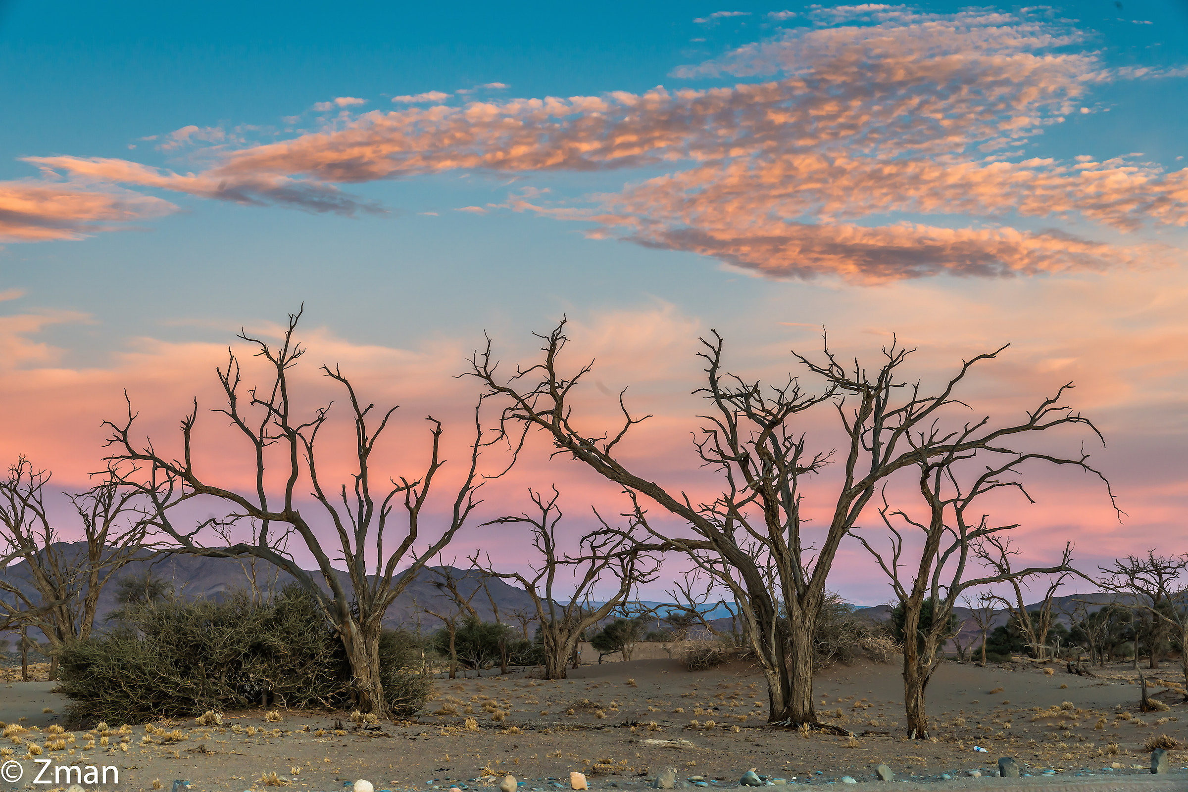 Namibia The Wild