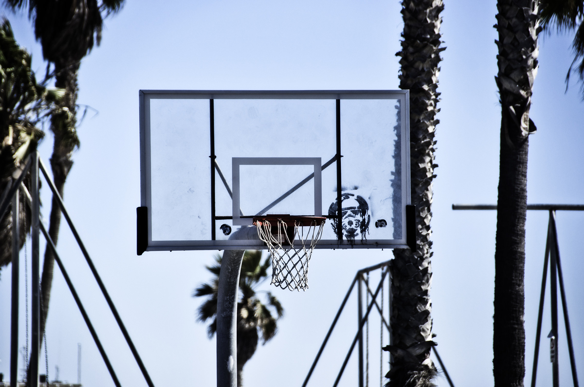 Basket of Venice Beach