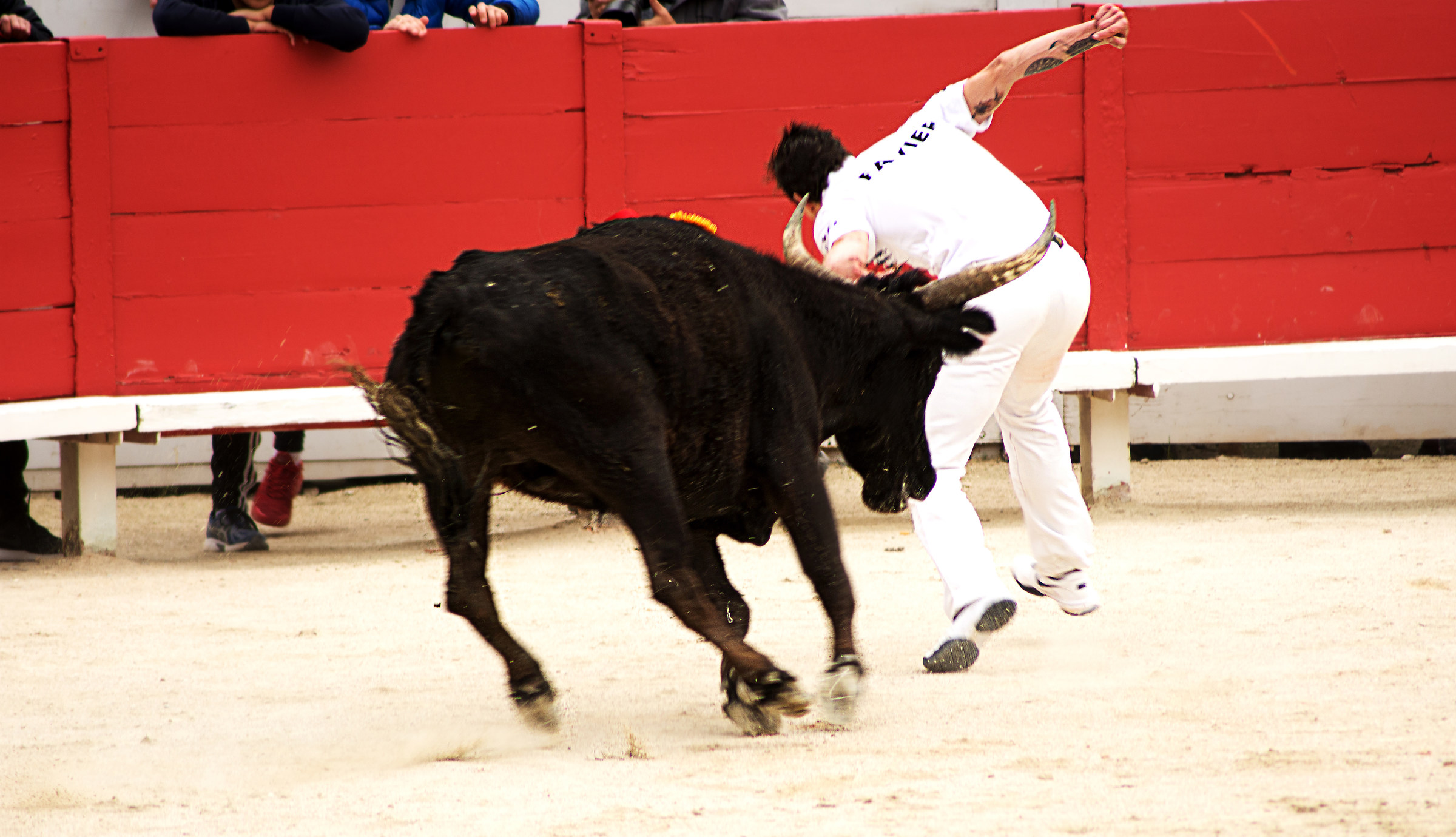 La course camarguaise di Arles