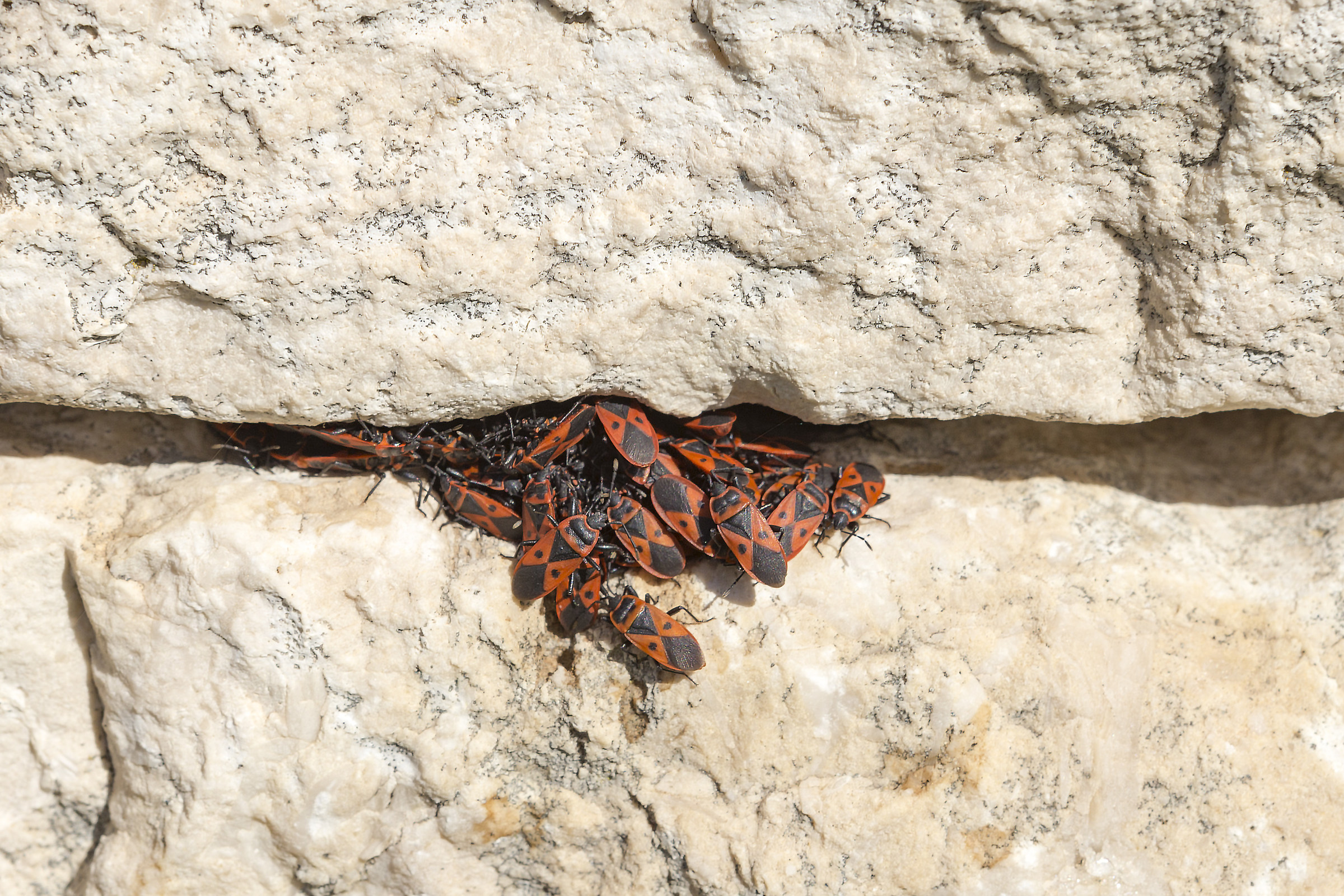 Add a seat at the table ... maybe it's better not