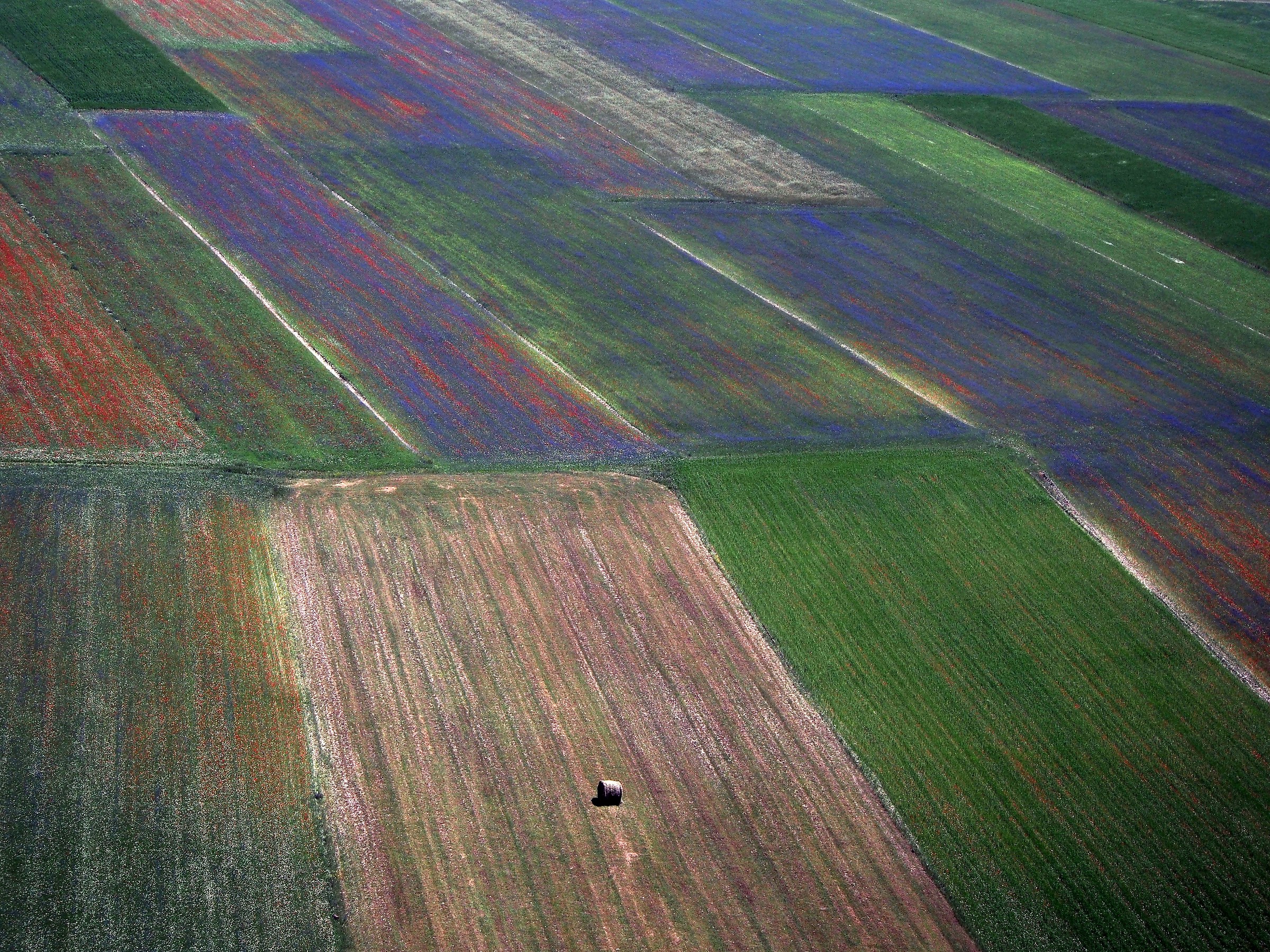 Castelluccio