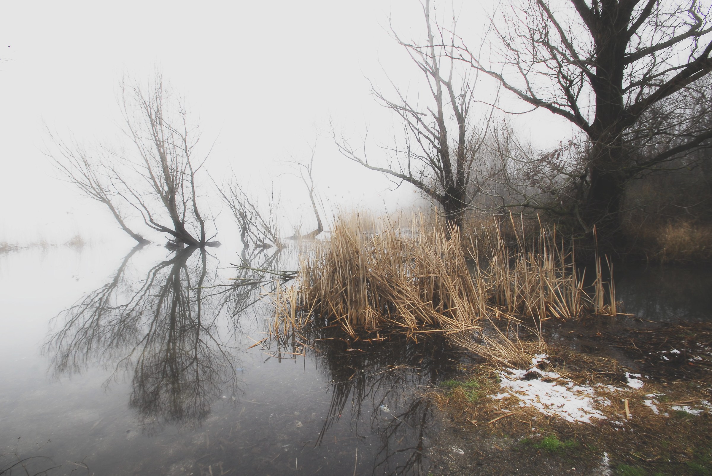 paesaggio lunare sul lago di varese