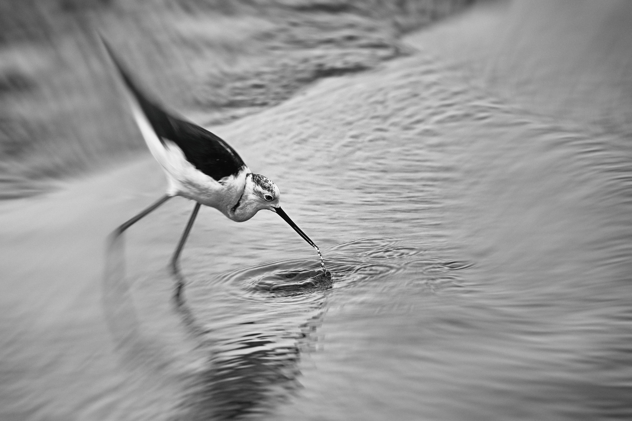 [negozio 24] effetto.