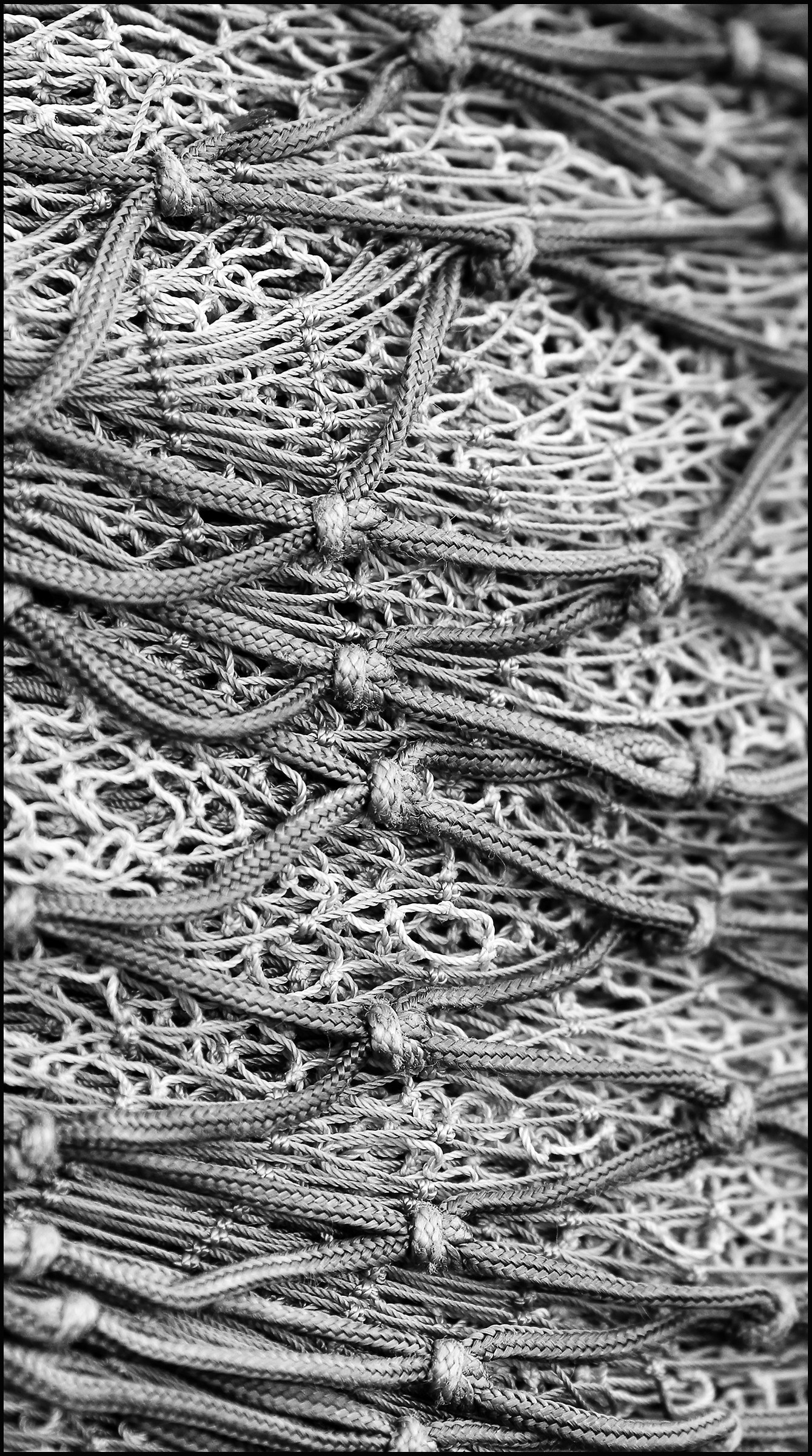 networking especially ....