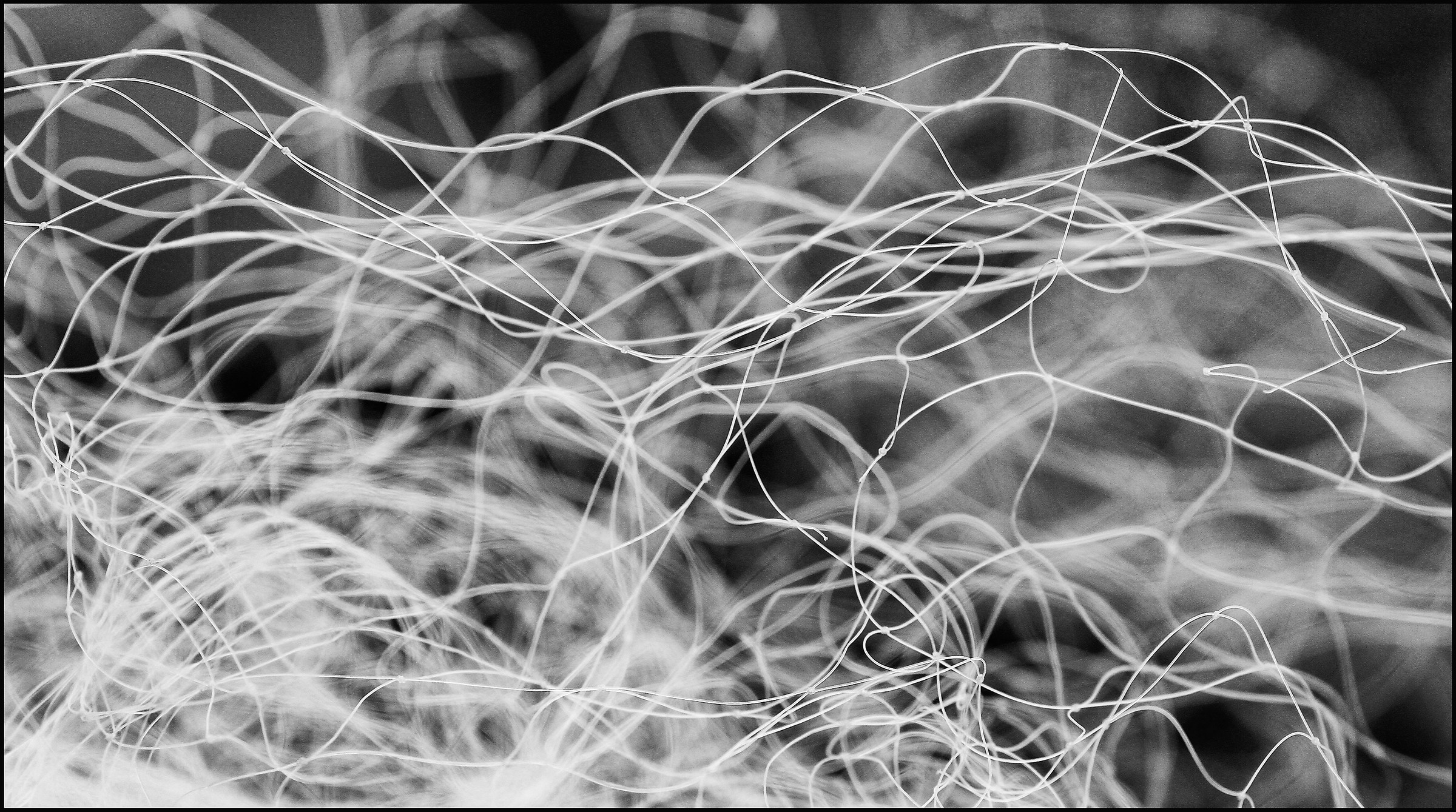 backlit networks ....