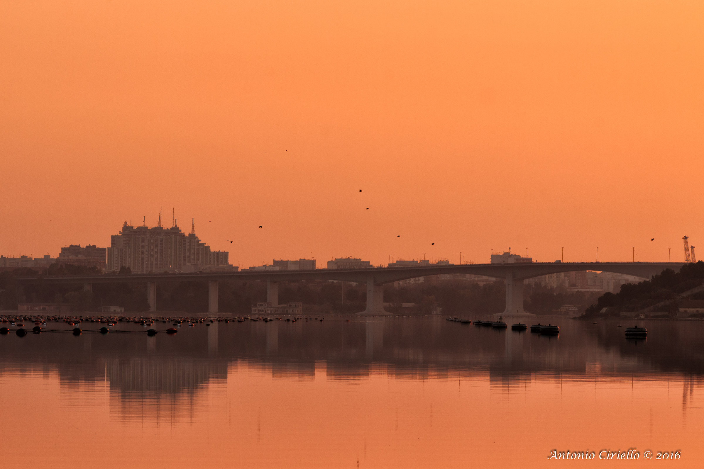 Golden Hour al ponte