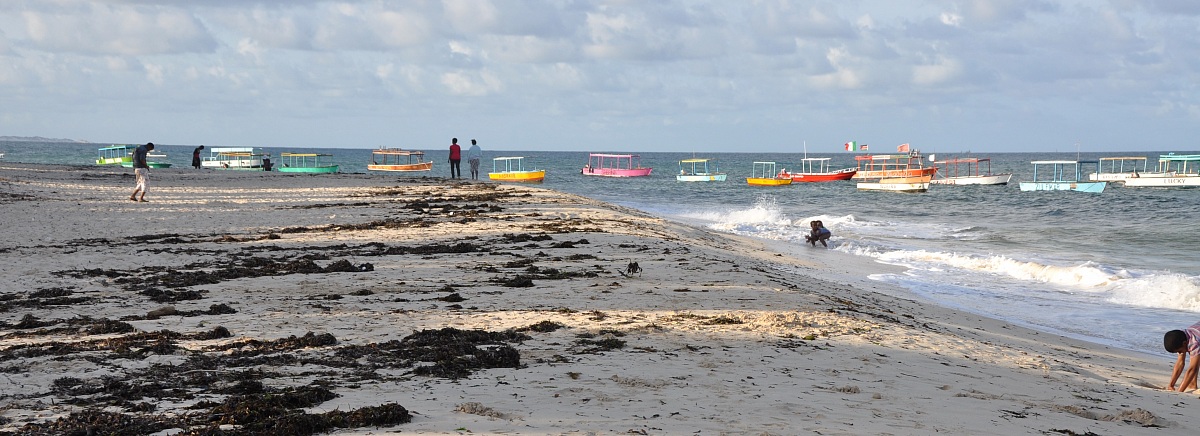 The colors and boats
