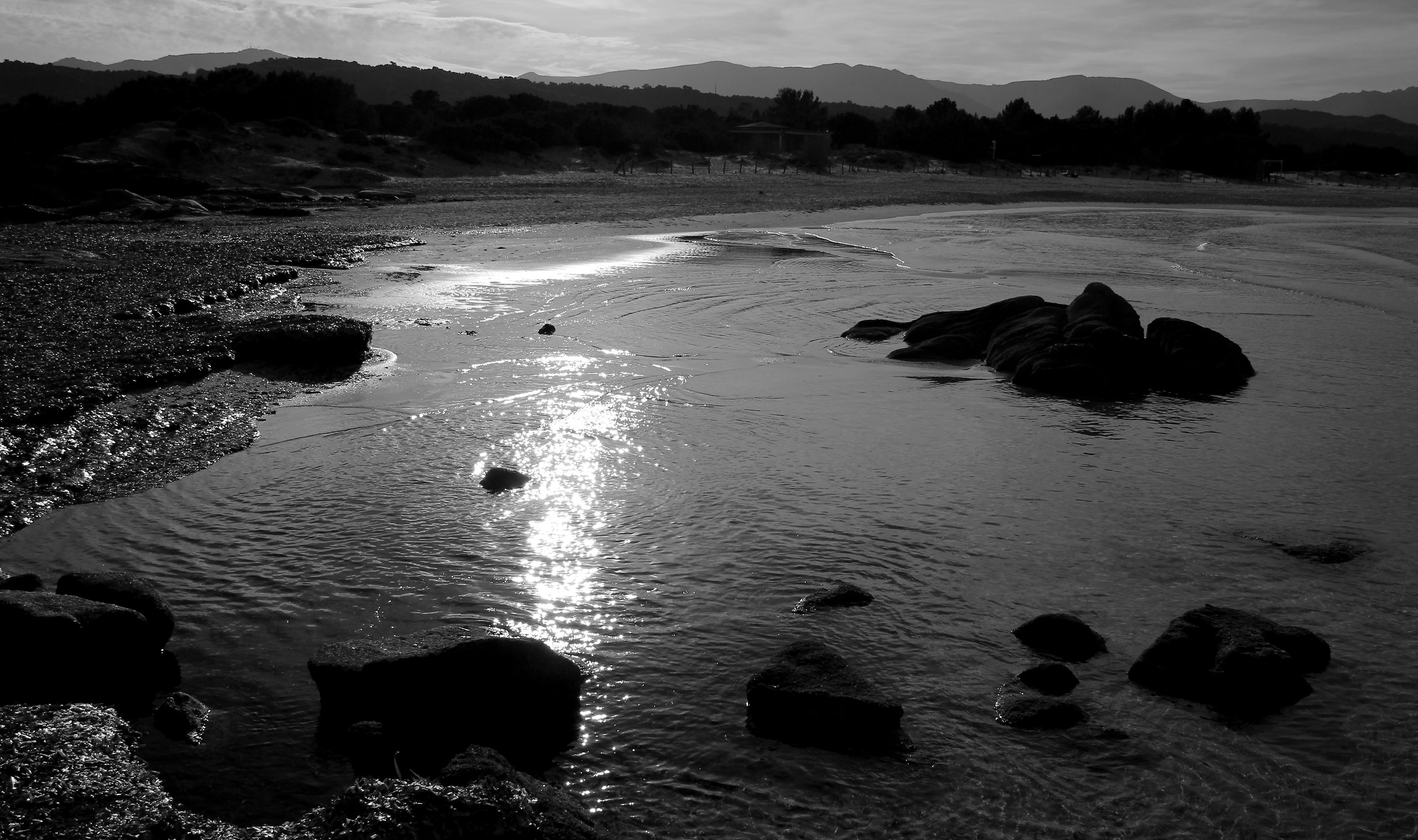 Backlit in low tide