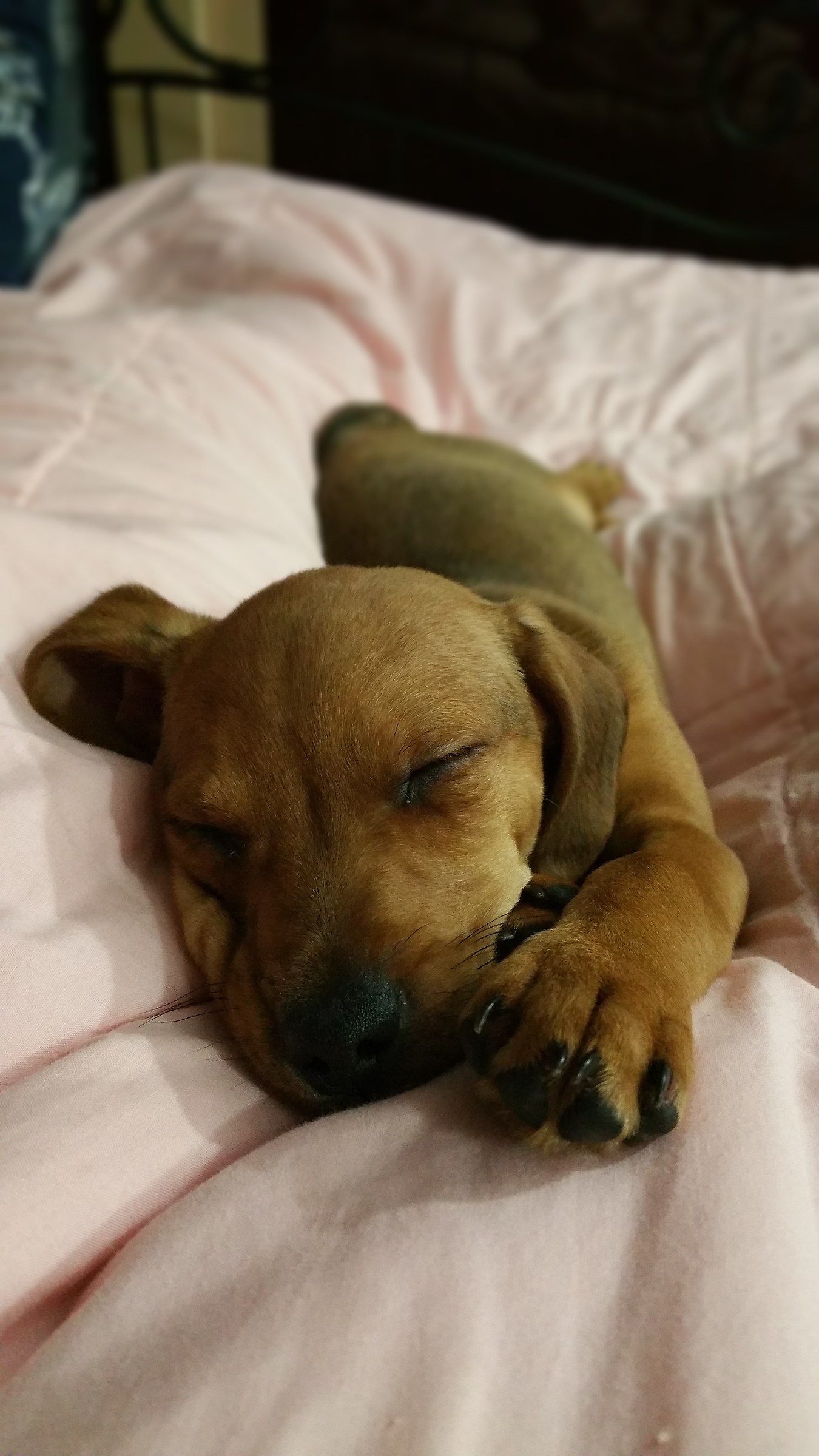 un po di riposo dopo una lunga giornata