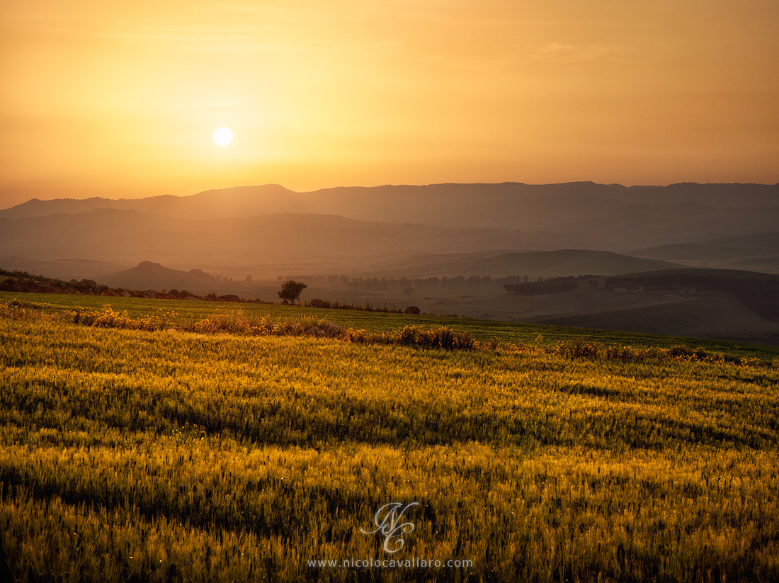 Treasures of Sicily - Country House in Spring