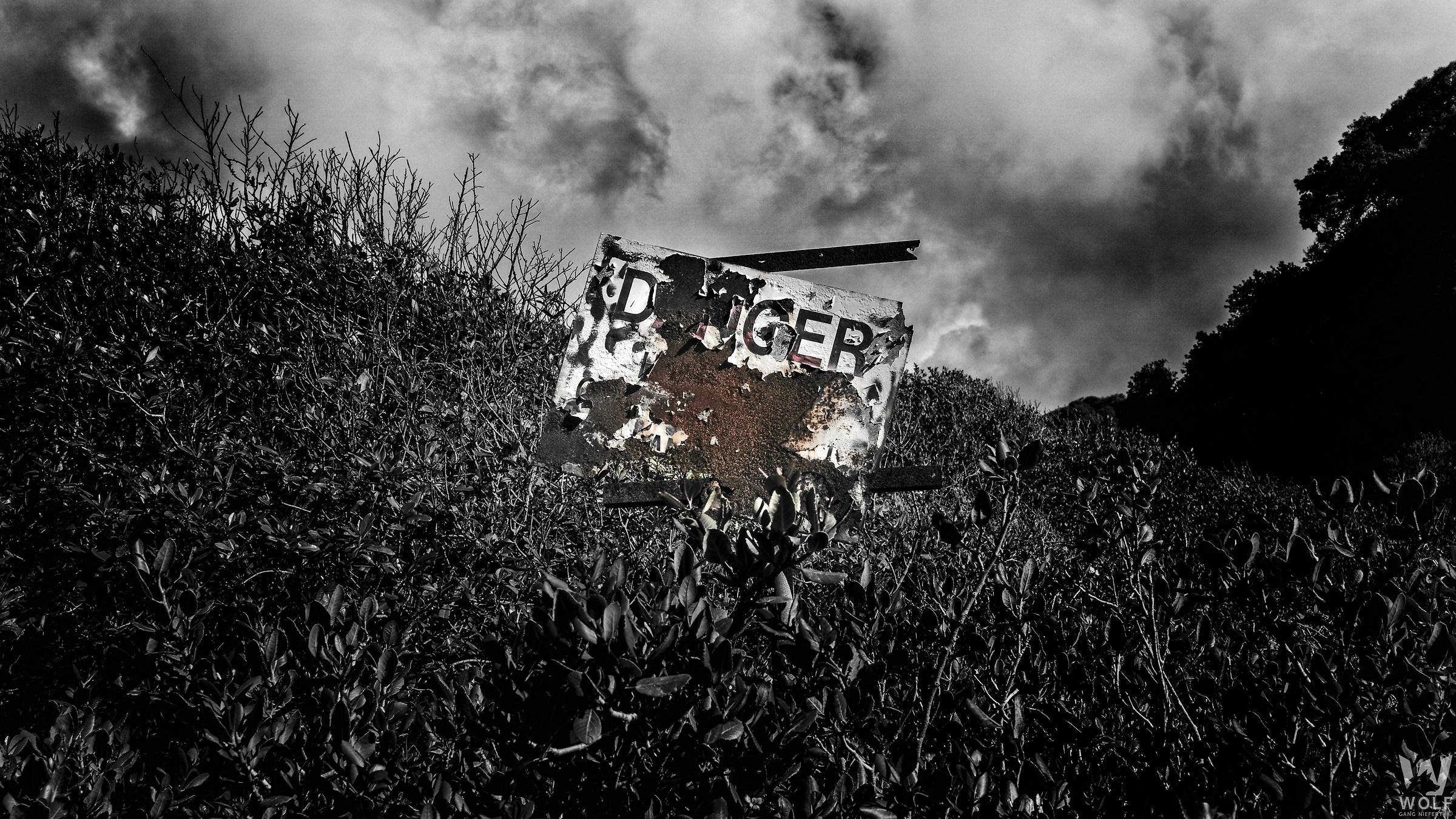 San Diego La Jolla Farms 2