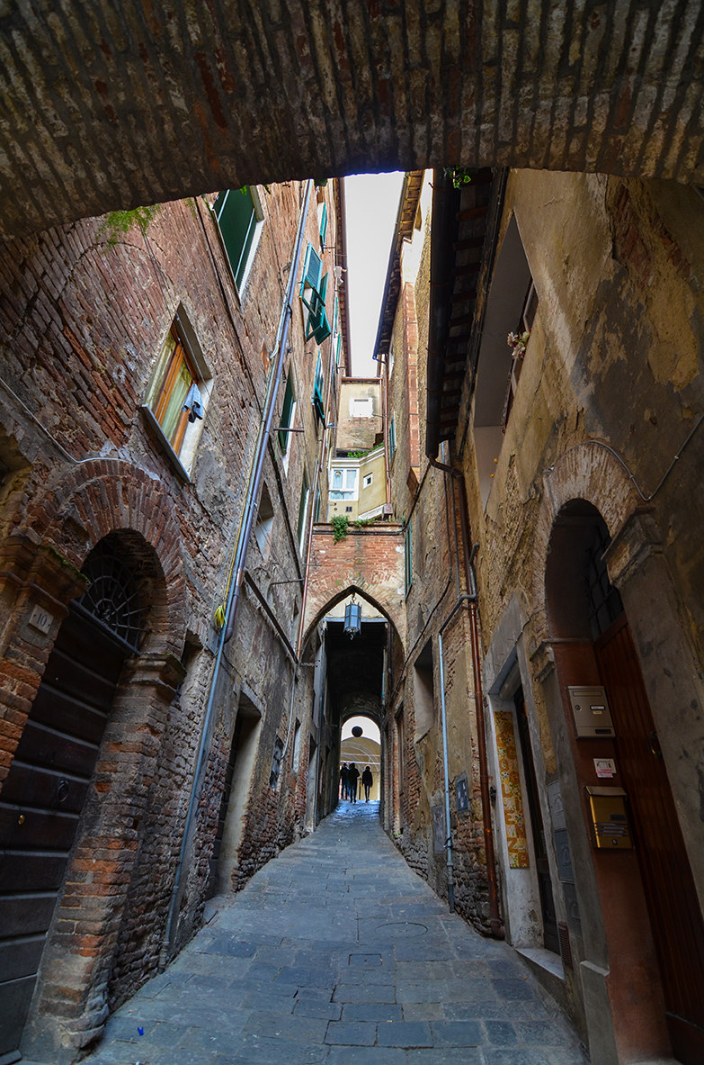 Vie di Siena 2