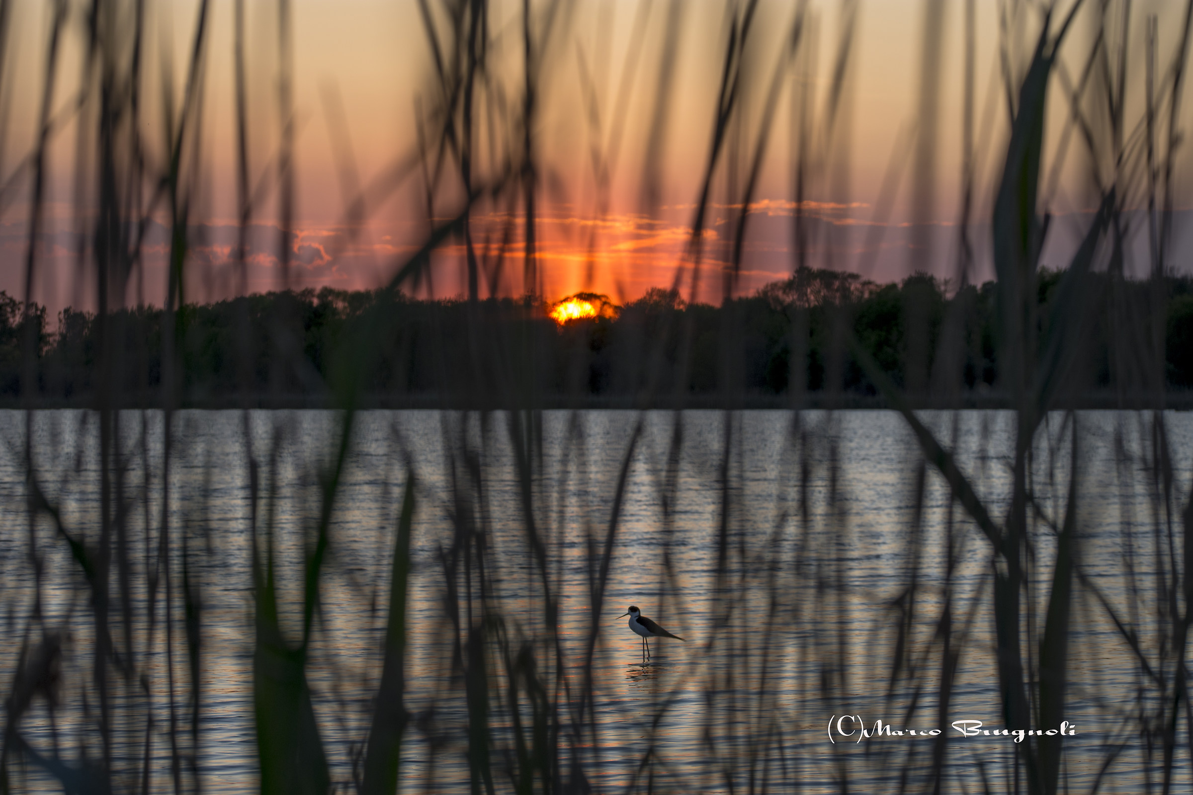 The sunset in the valley