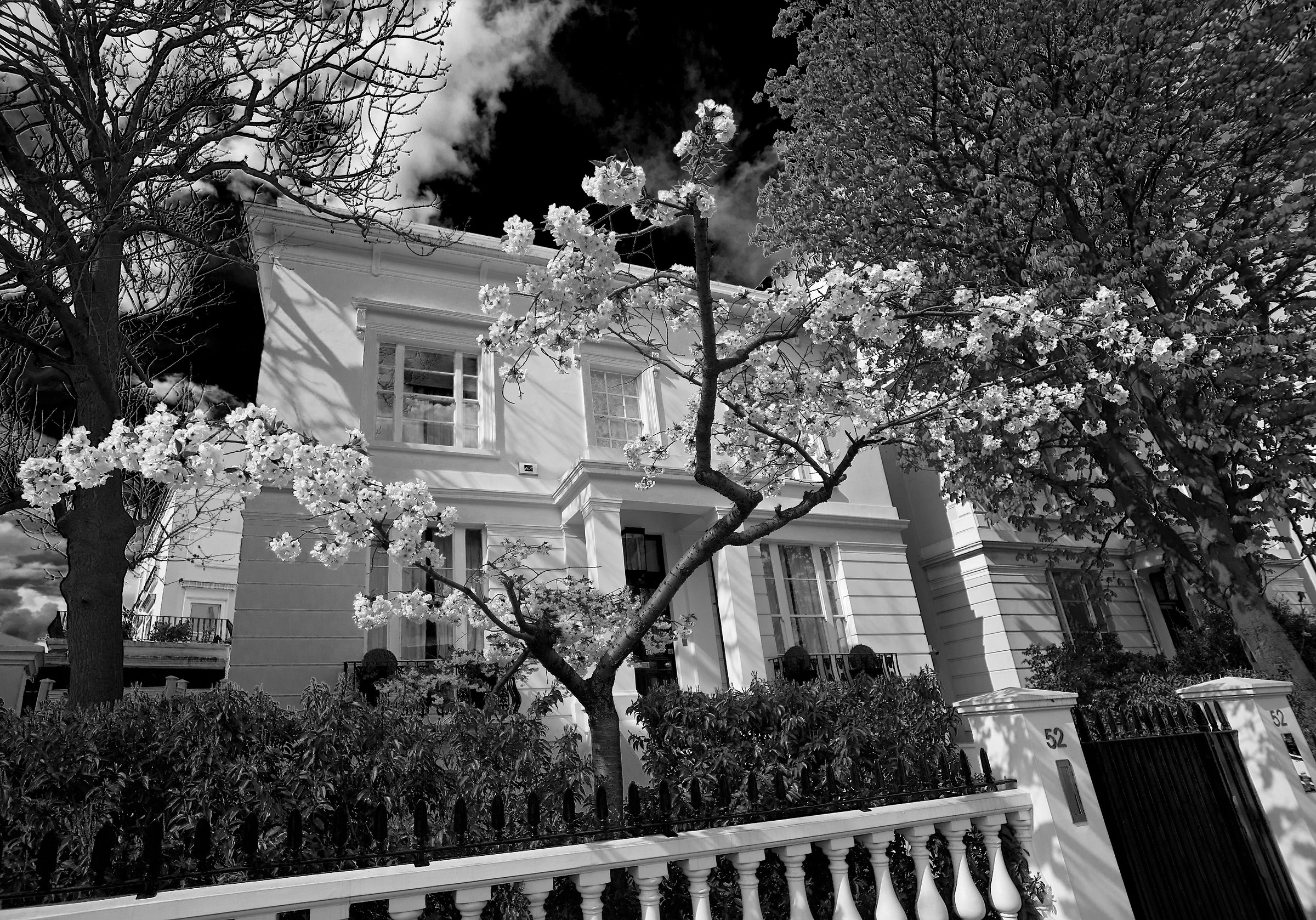 Blossom and Villas in Notting Hill