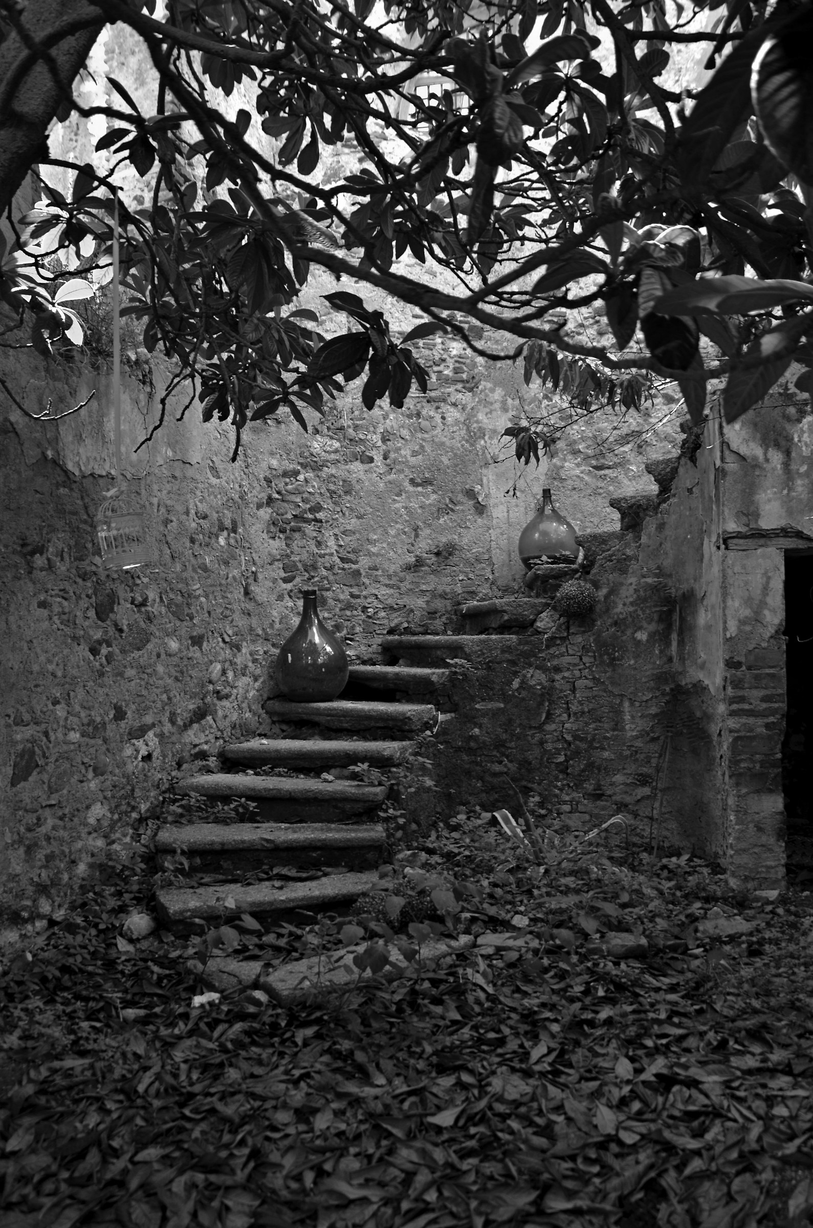 Even the eye wants its part