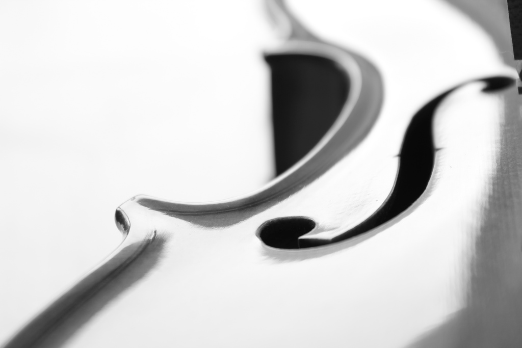 Violino luce naturale