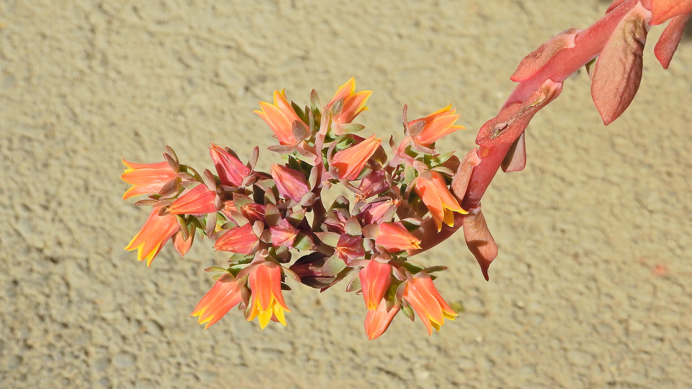 It's still spring air