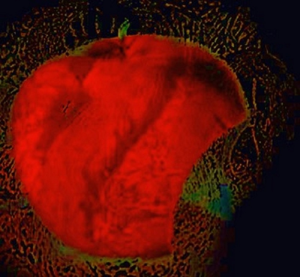 Apple over snake = pride