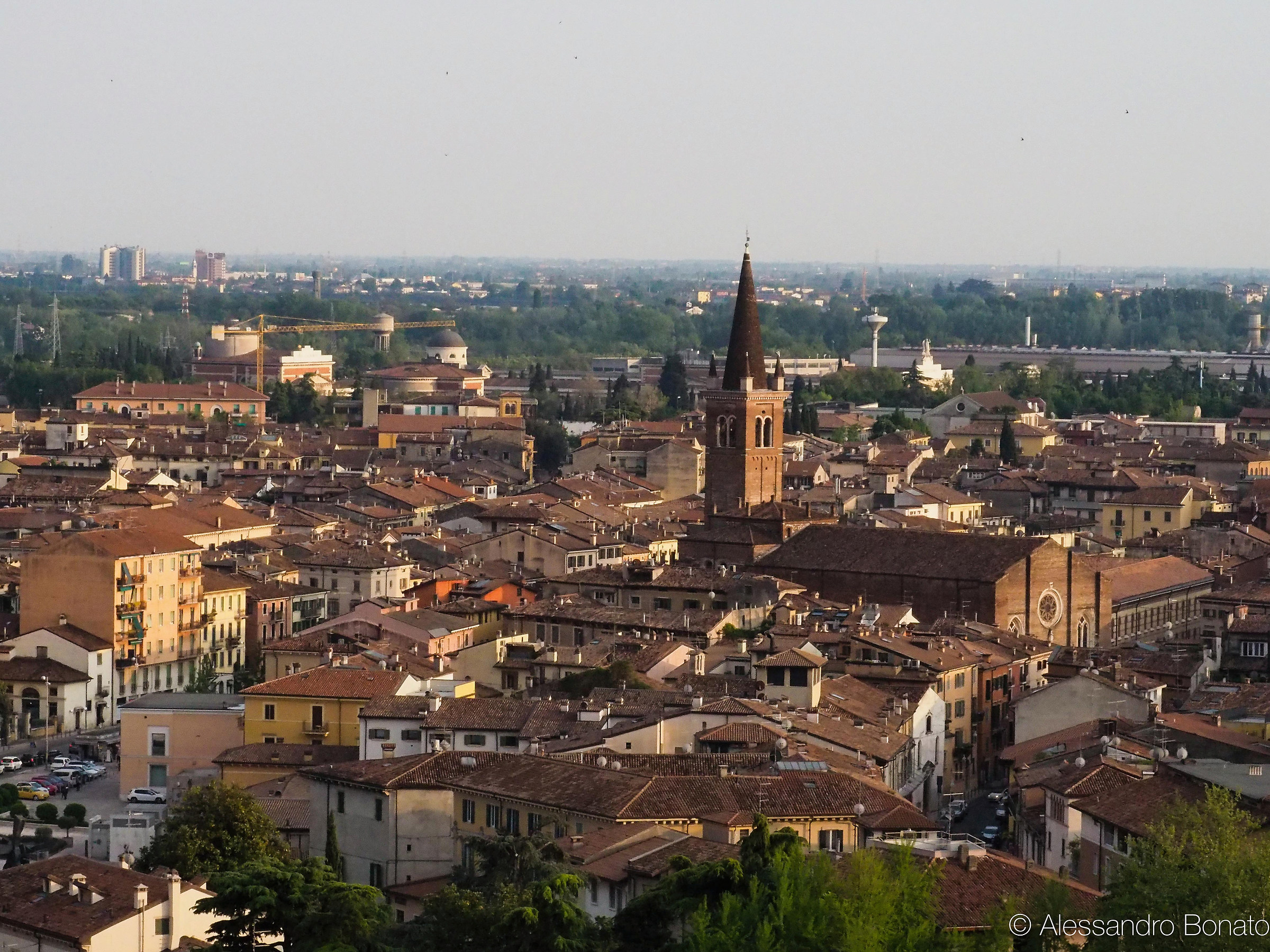 Verona