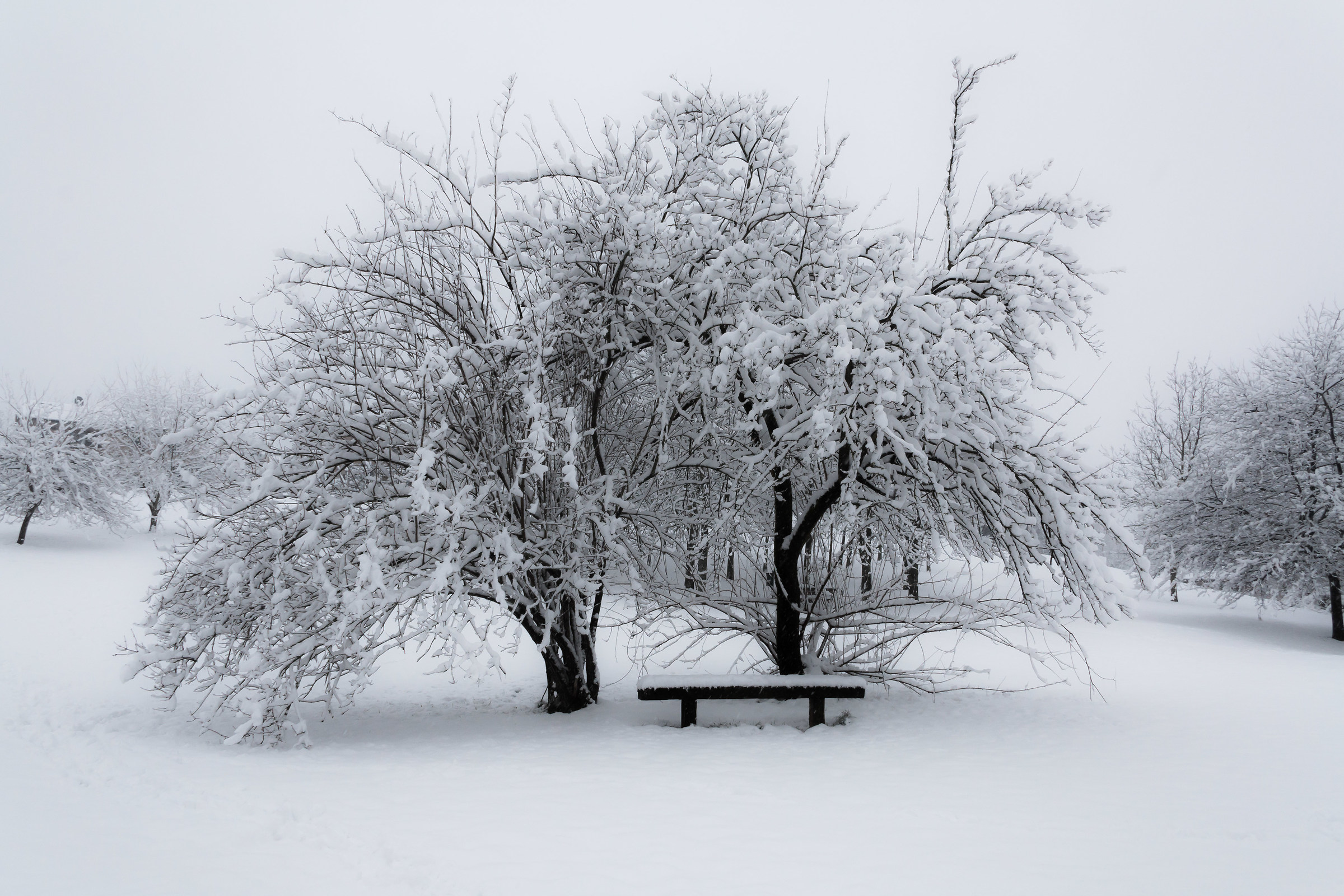 When snow was falling ...