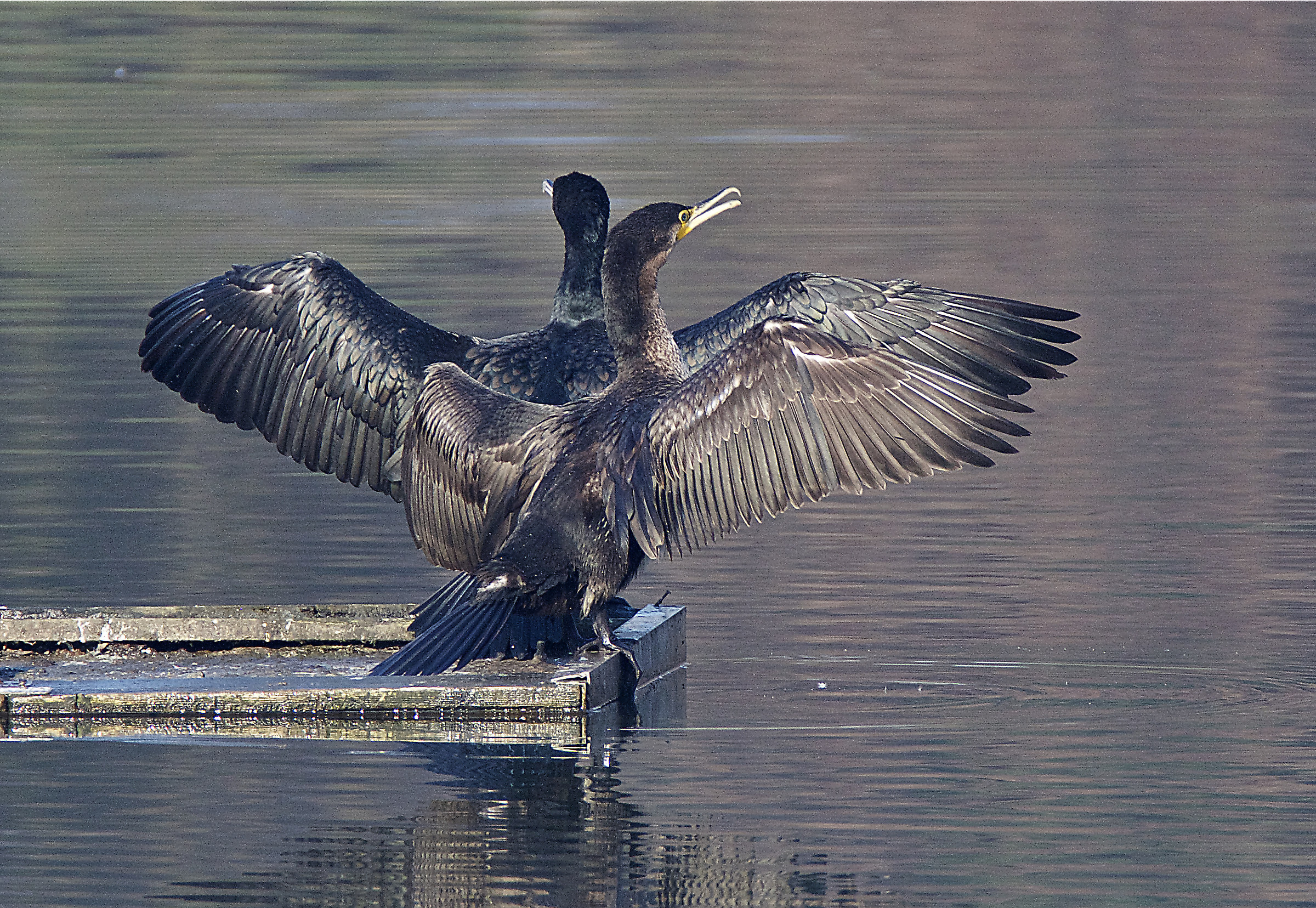 You look right that I look to the left!