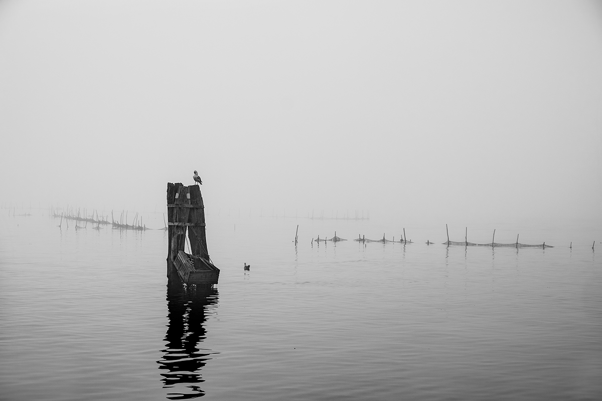 Nebbia in laguna