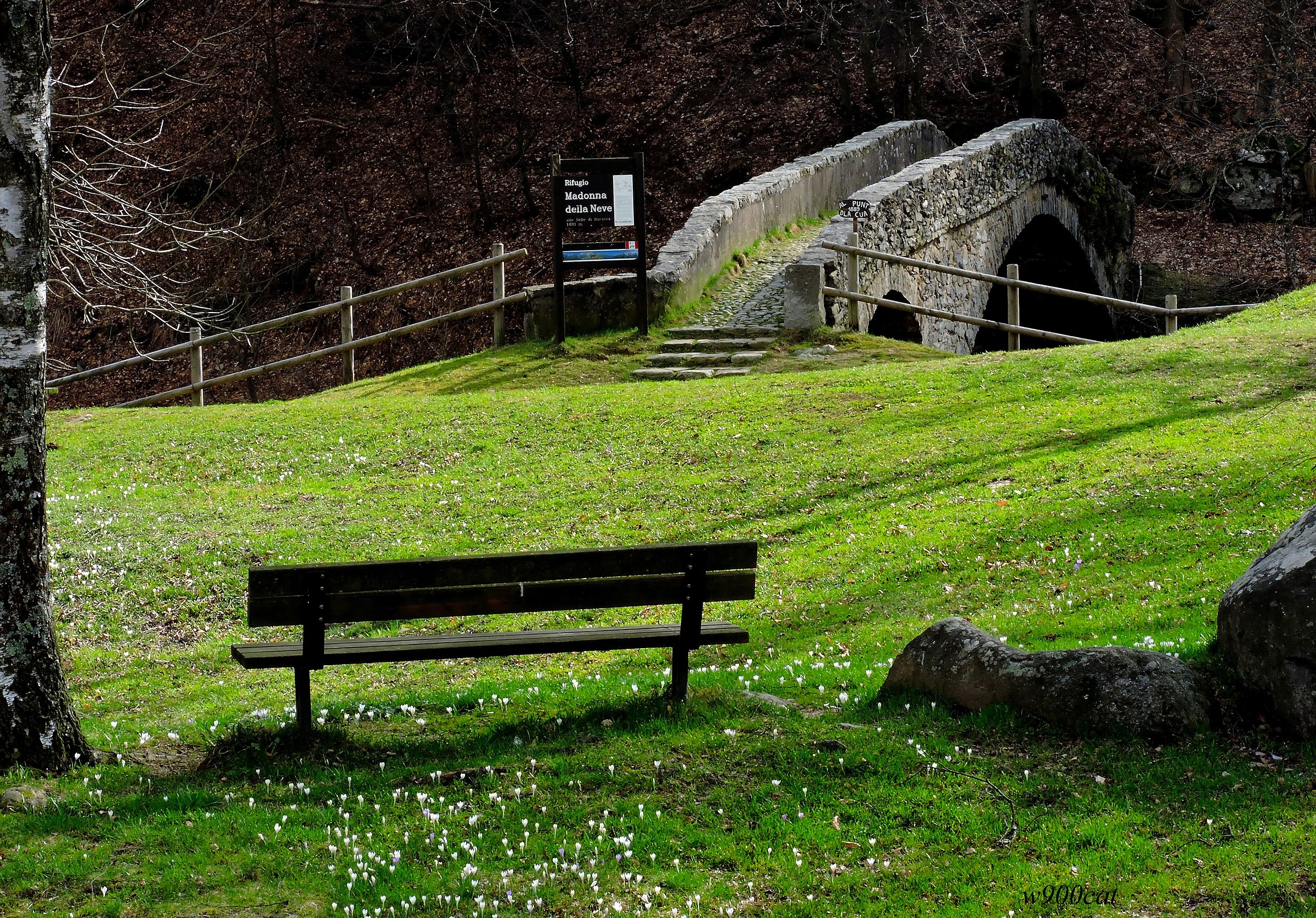 A bridge between spring and winter