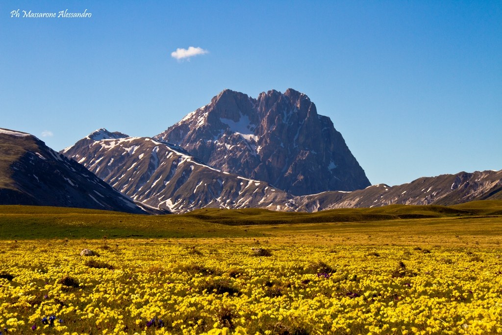 Il gigante Abruzzese