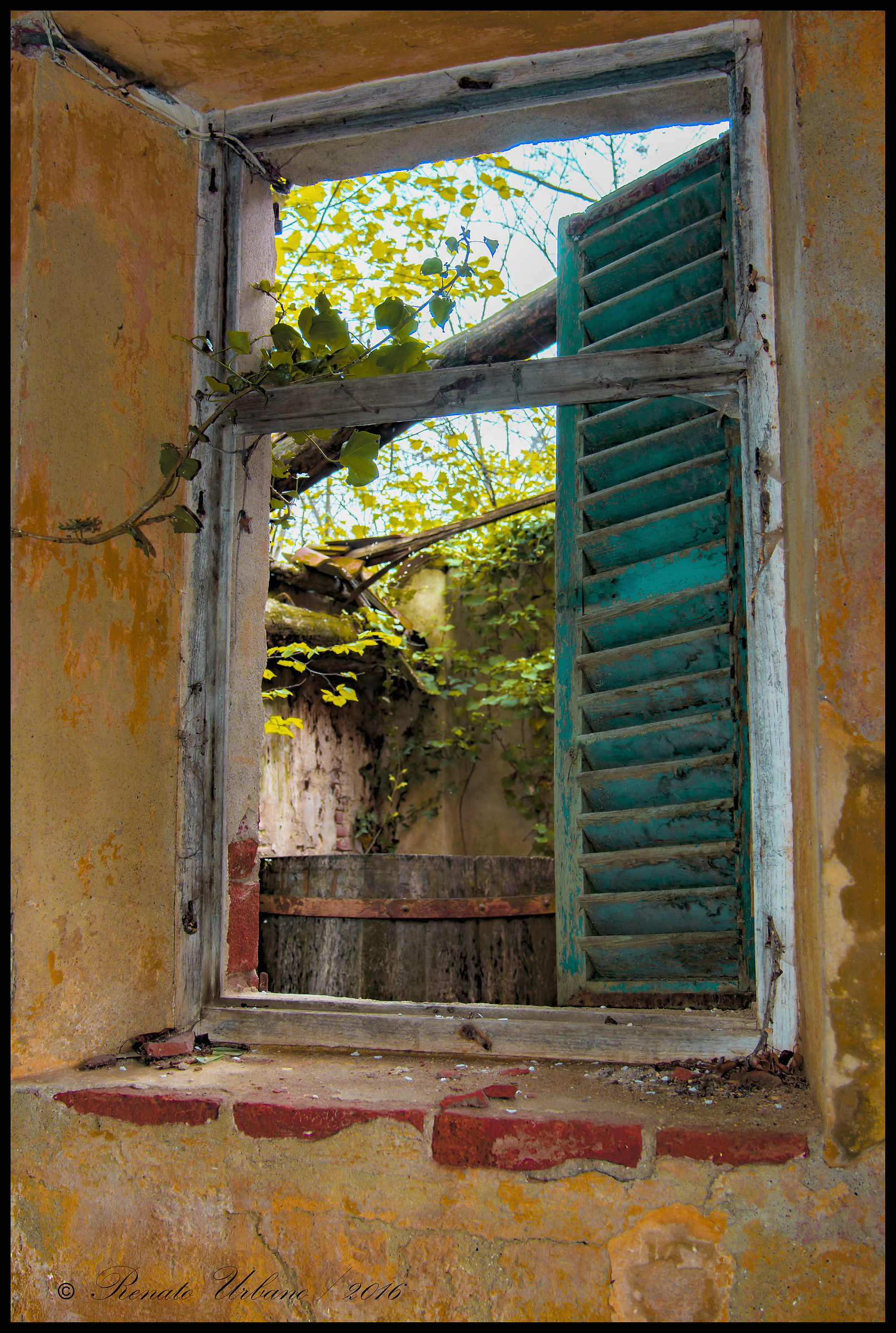 Old window 6