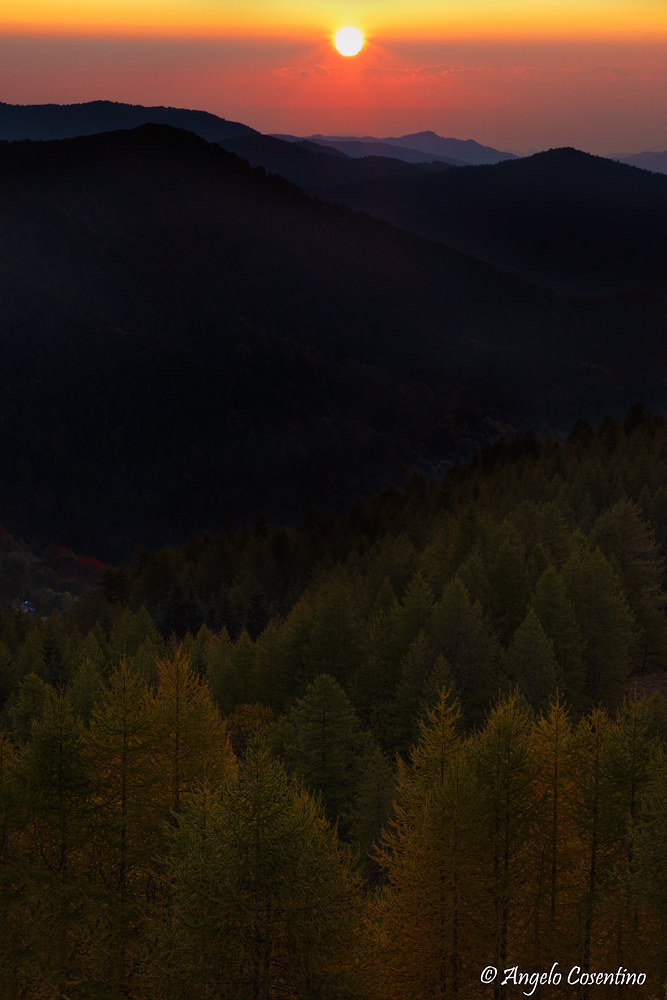 Sunrise at the shuttles forest