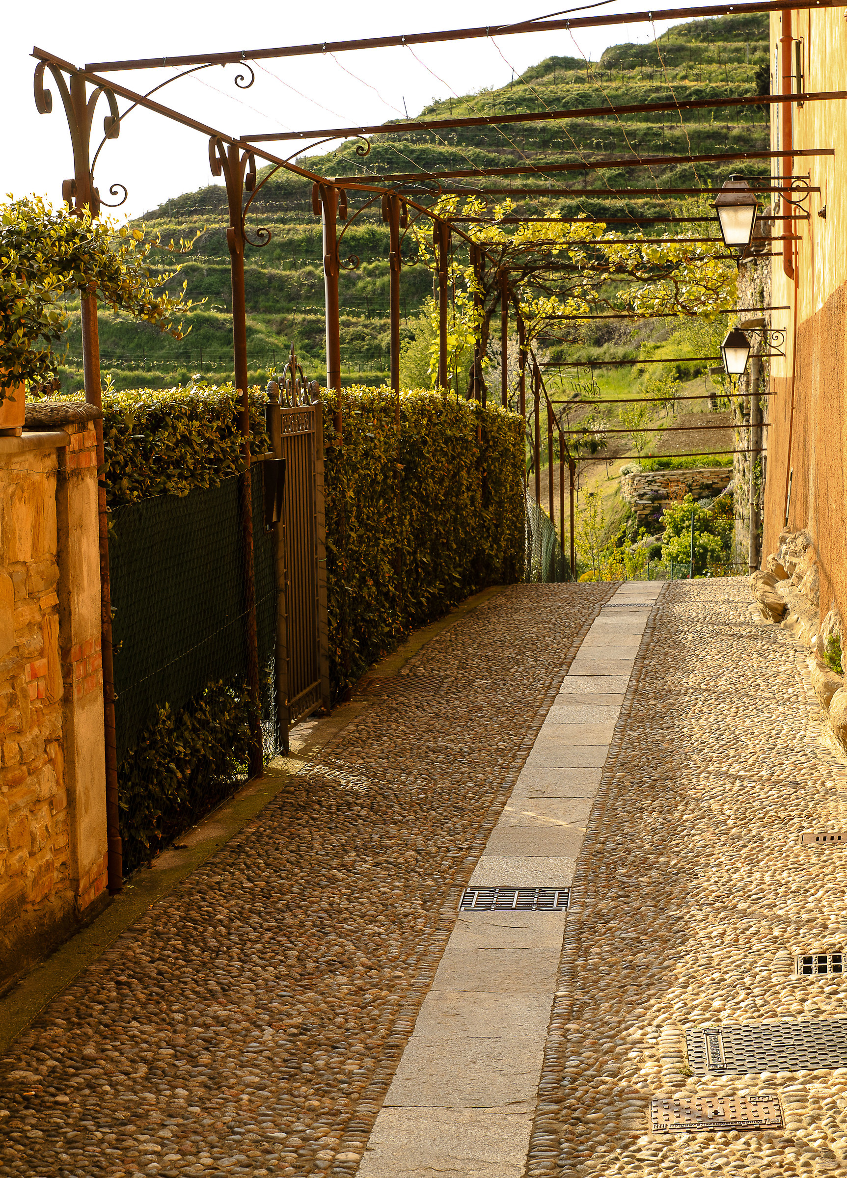 vecchia montevecchia