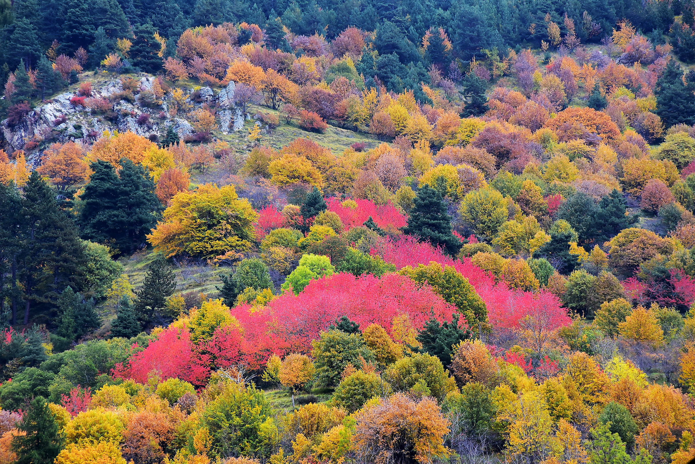 autunno in val tanaro