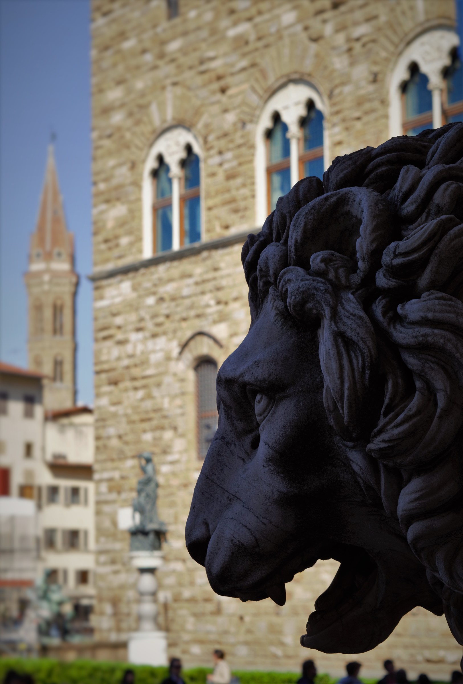 Signoria dagli occhi del leone