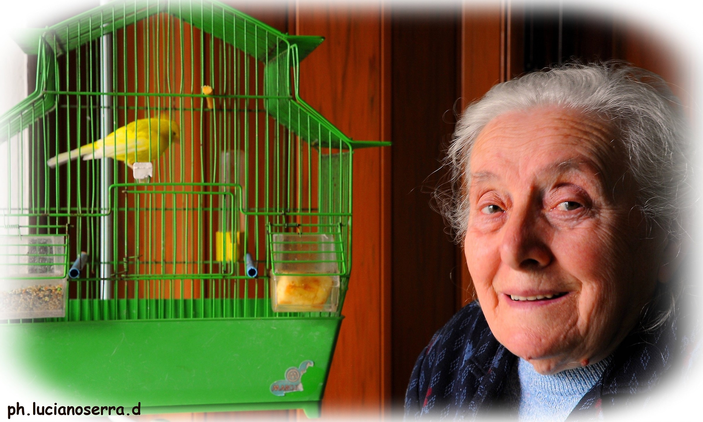 A canary for friend ...