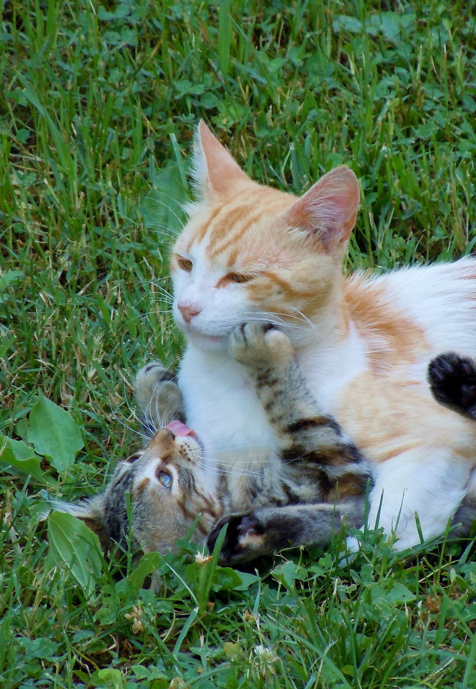 Prrrrrrrrrrrrrrrrrrrrrr!