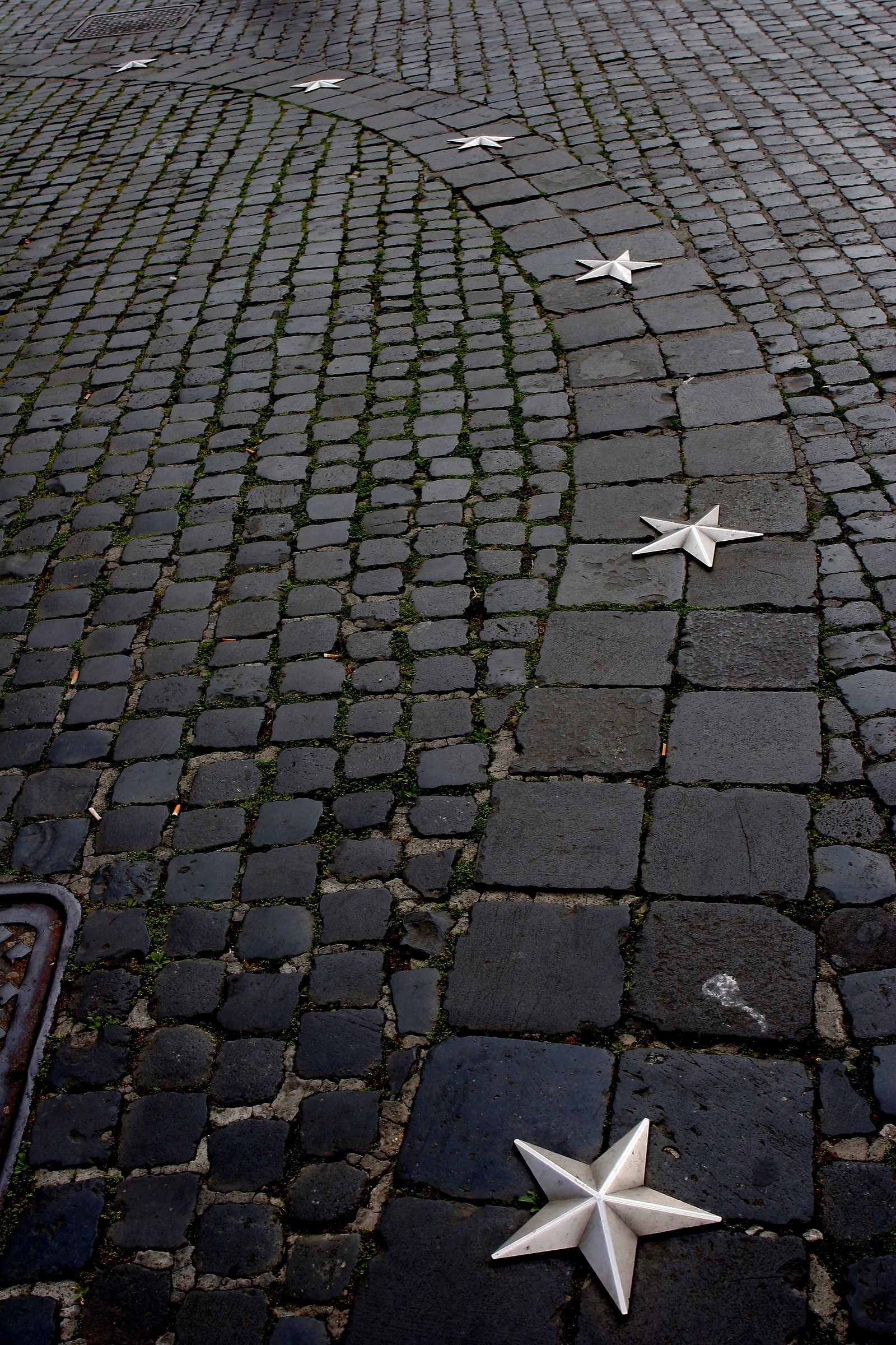 stelle cadute dal cielo °°°°°