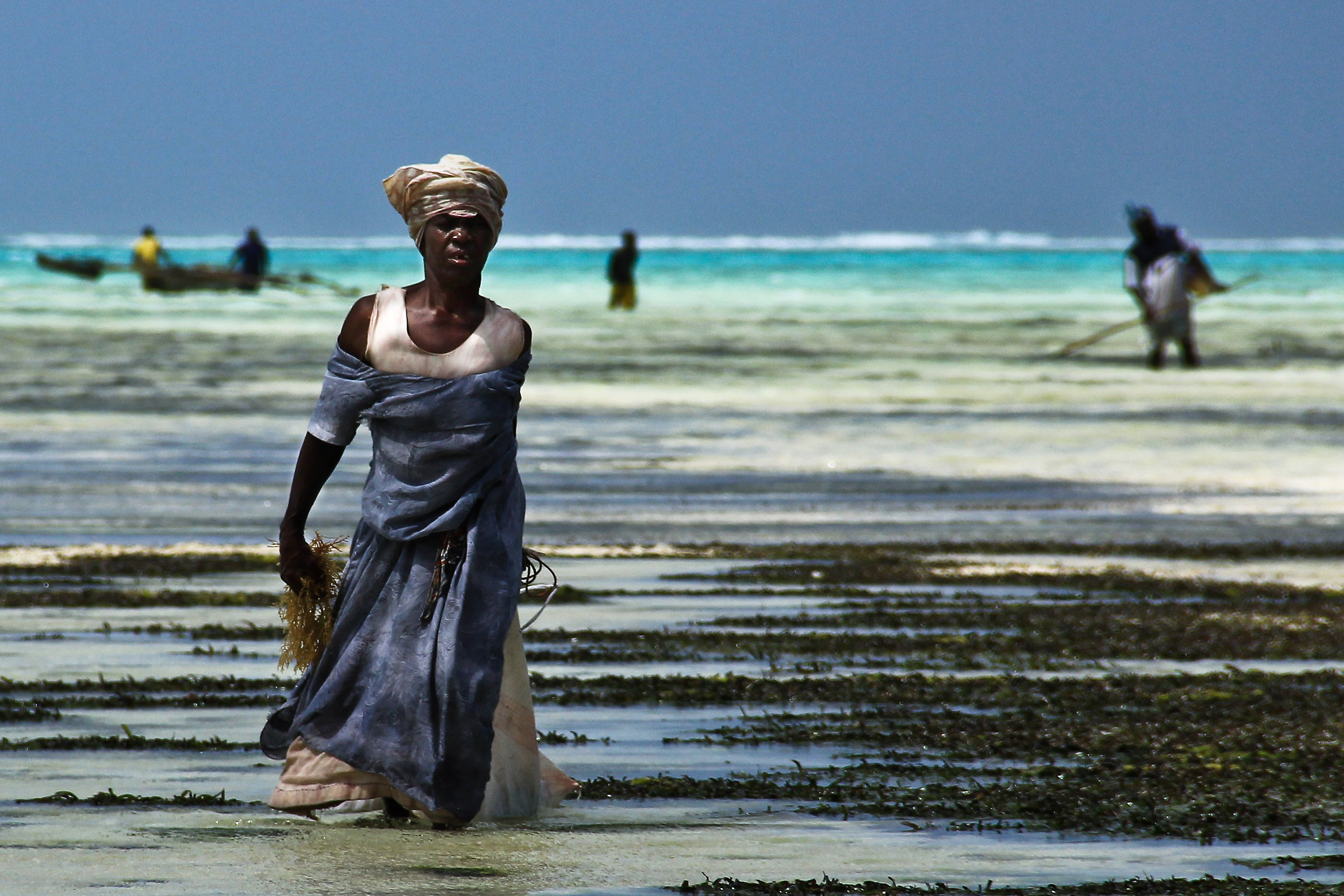 I colori di Zanzibar